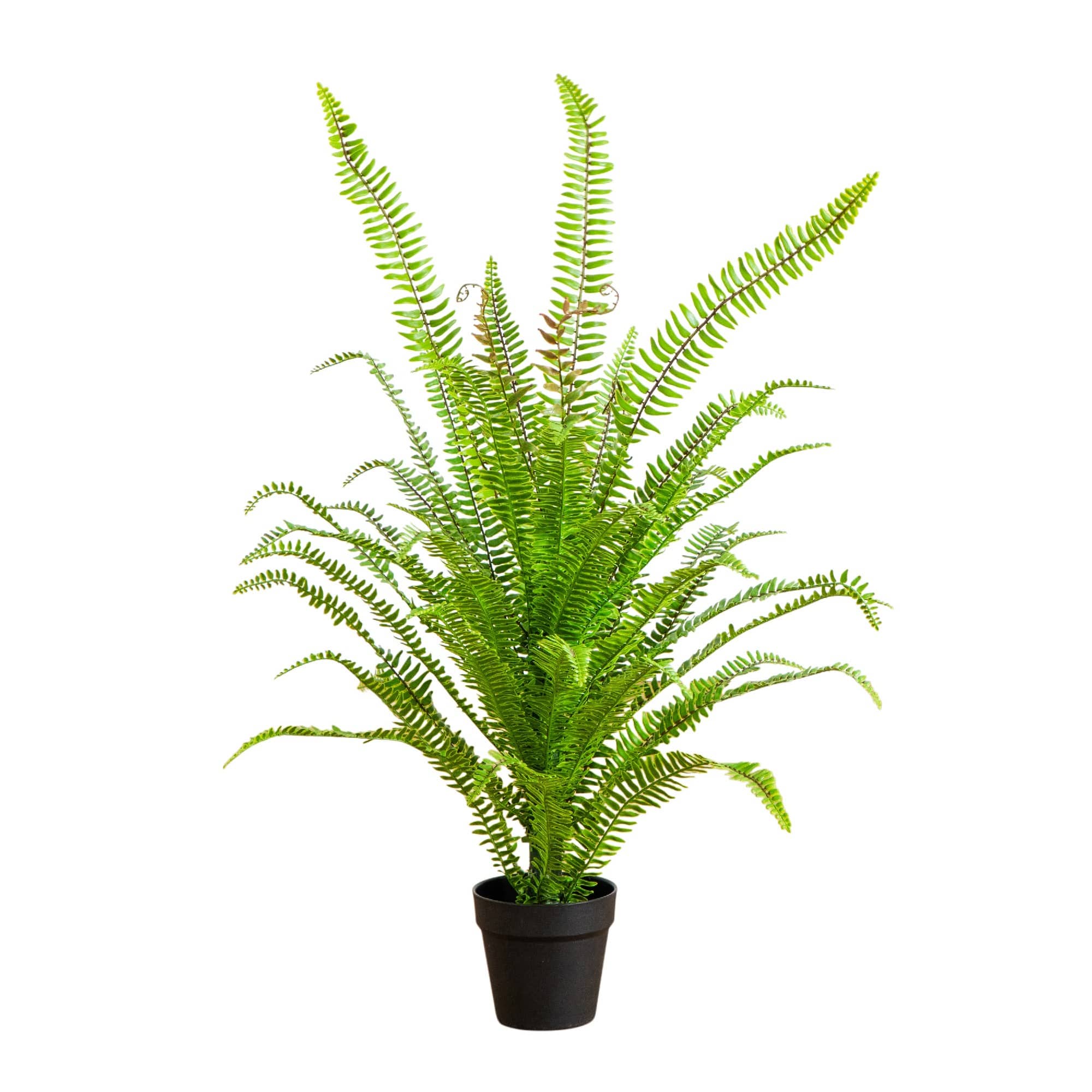 3ft. UV Resistant Artificial Boston Fern Potted Plant with Real Touch Leaves (Indoor/Outdoor)