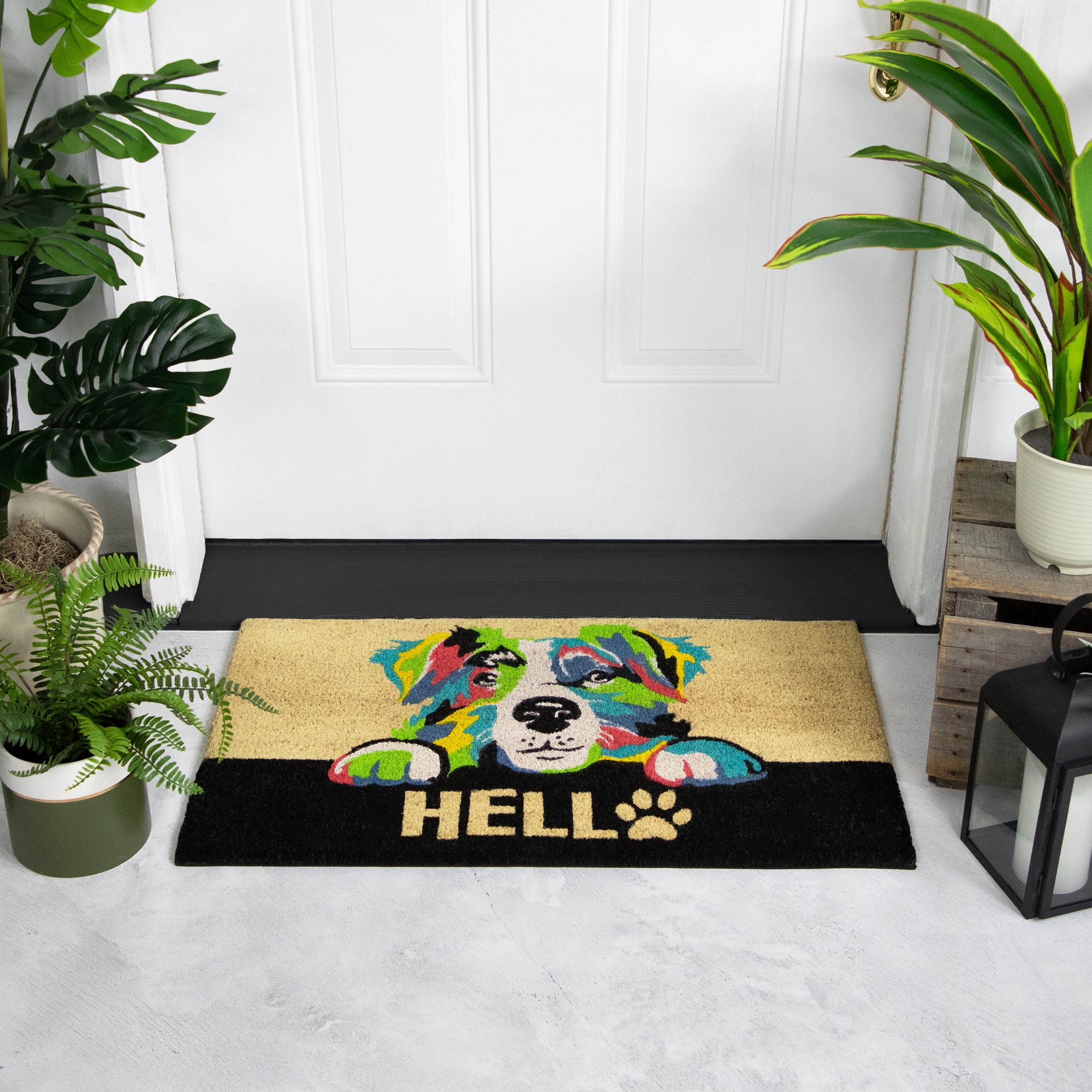 Multicolor Dog Hello Doormat