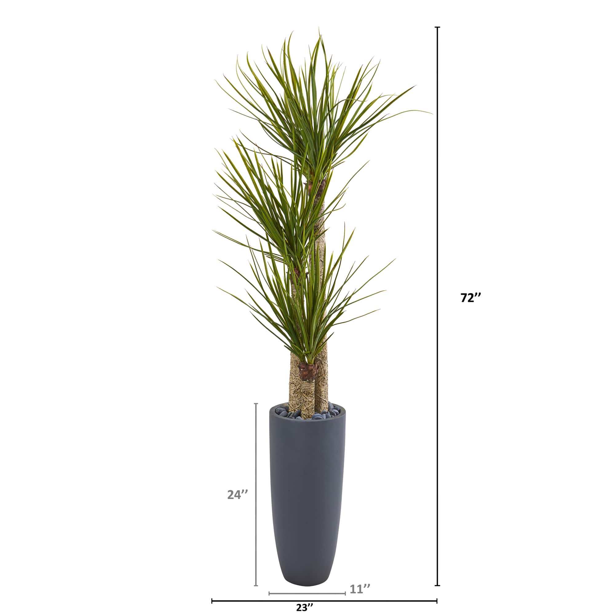 6ft. Yucca Tree in Black Planter