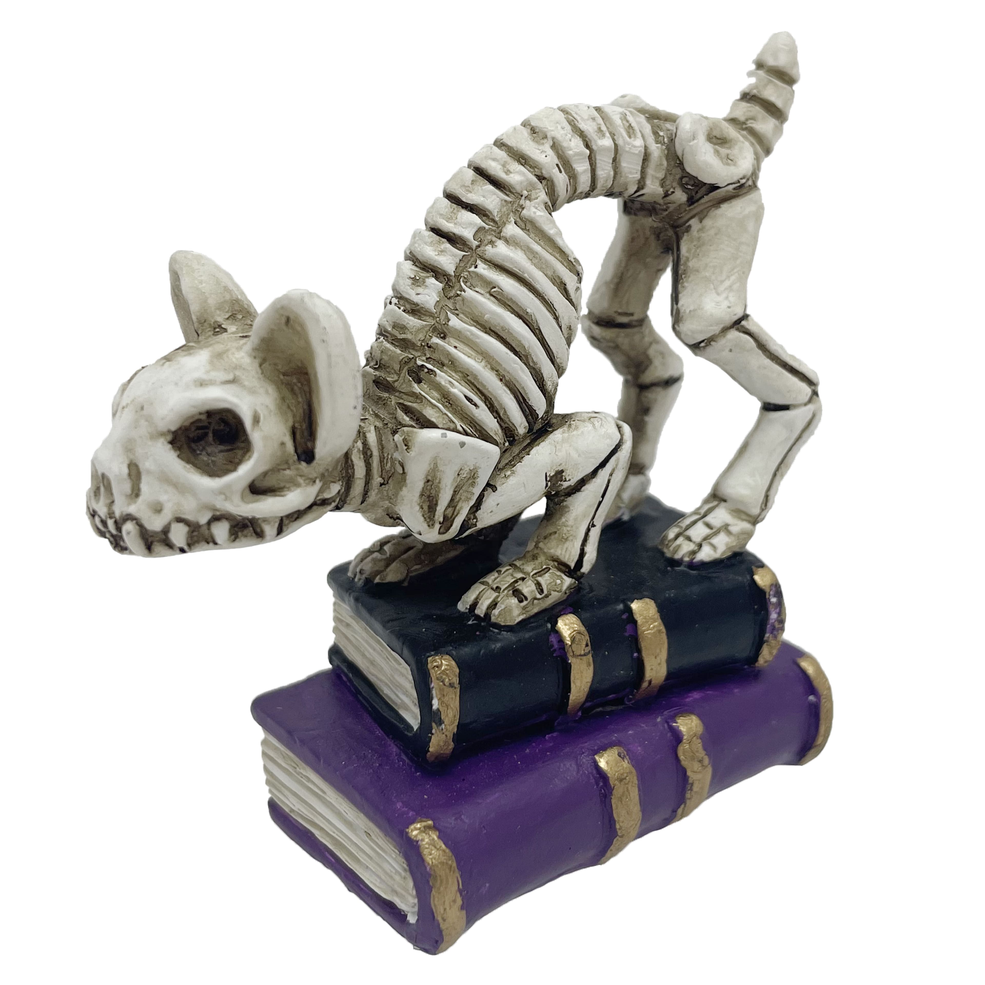 Mini Cat Skeleton with Books D&#xE9;cor by Ashland&#xAE;