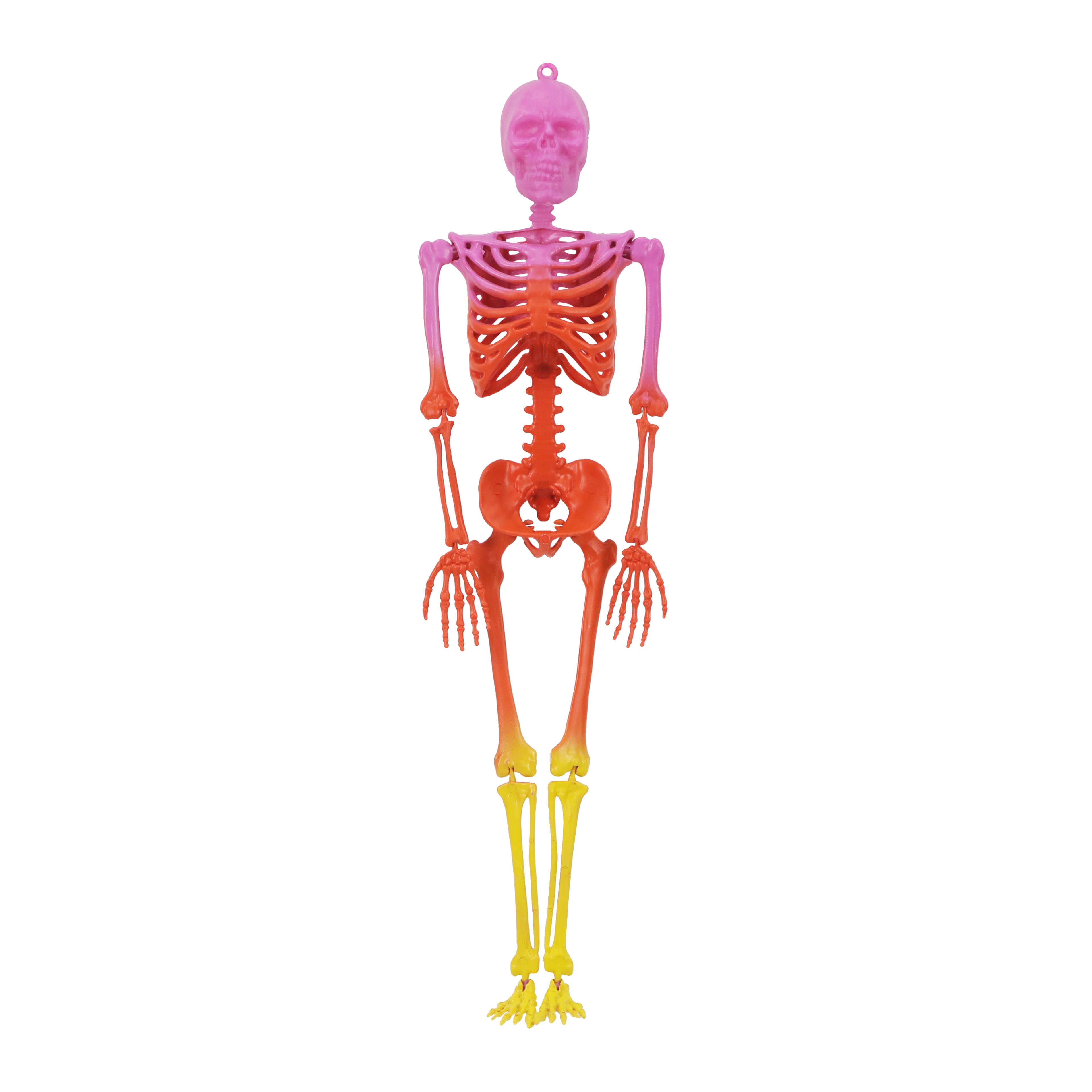 23&#x22; Bright Ombre Skeleton Wall D&#xE9;cor by Ashland&#xAE;