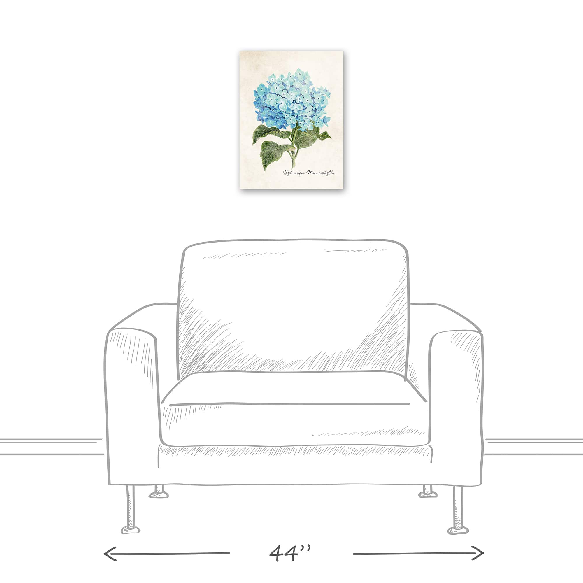 Hydrangea Illustration 12" x 16" Canvas Wall Art