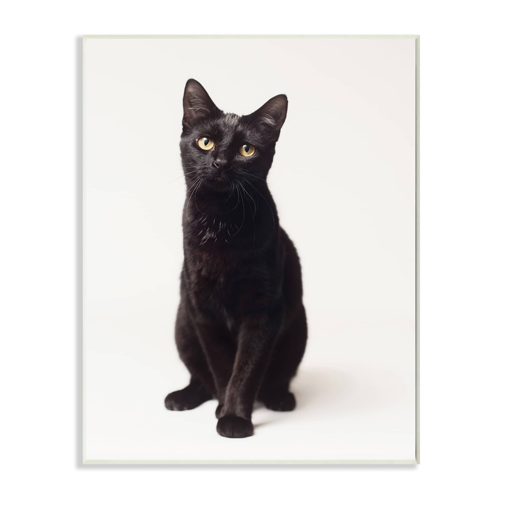 Stupell Industries Cute Black Cat Expressive Eyes Pet Portrait Wall Plaque