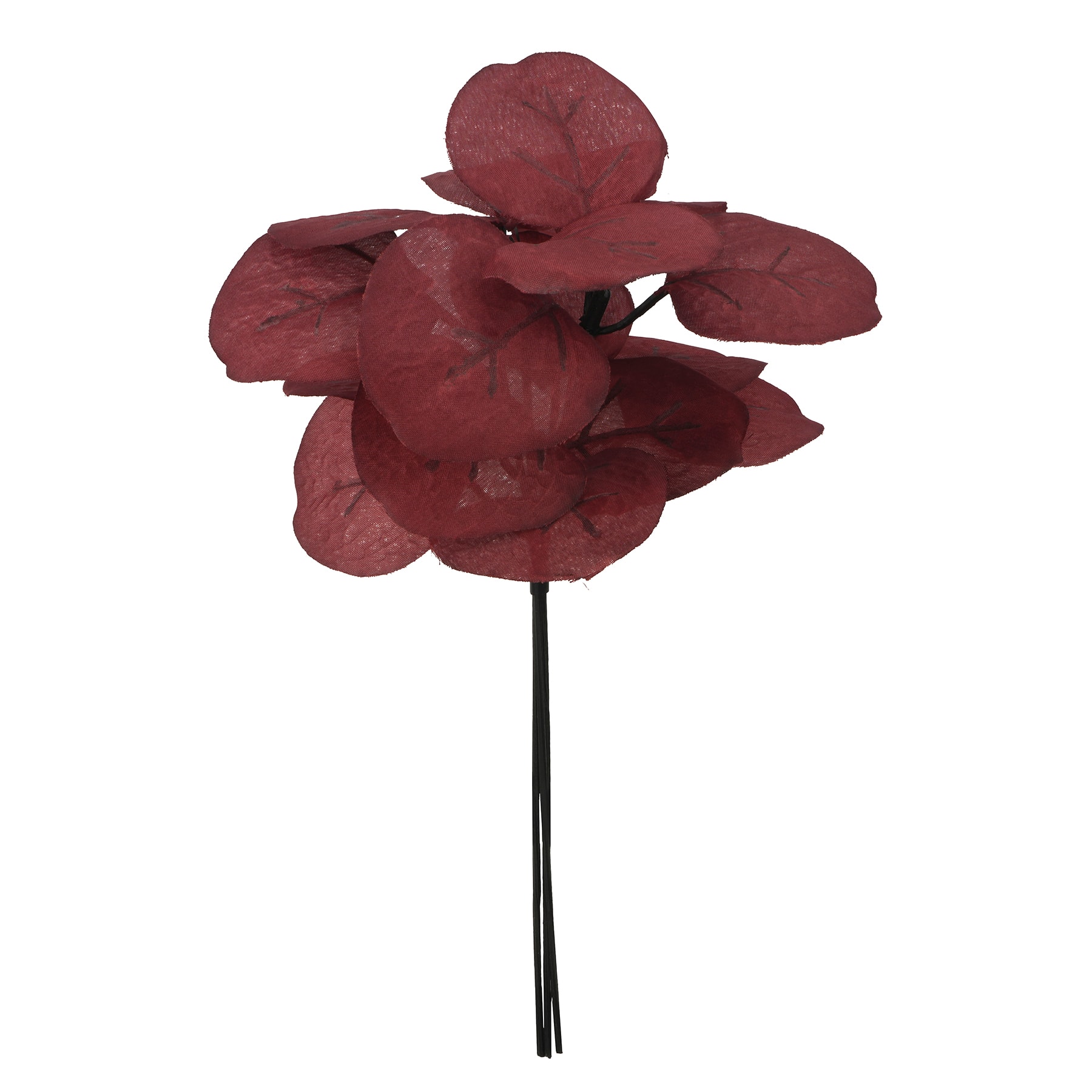 10.5&#x22; Mini Eucalyptus Bundle by Ashland&#xAE;