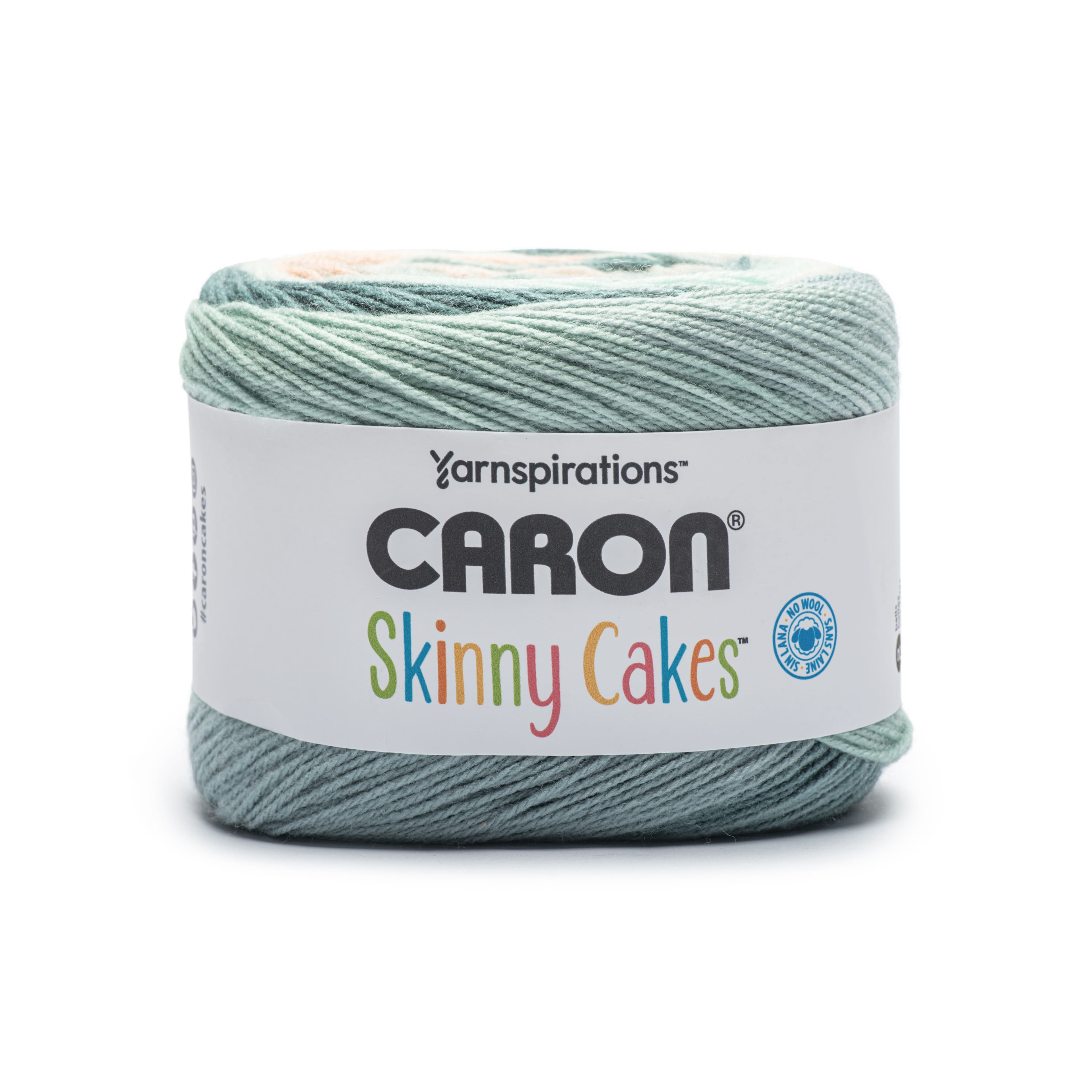 Caron&#xAE; Skinny Cakes&#x2122; Yarn