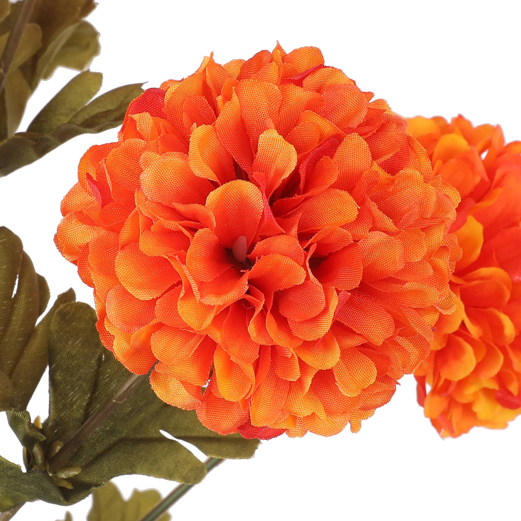 17&#x22; Basic Mum Bush by Ashland&#xAE;