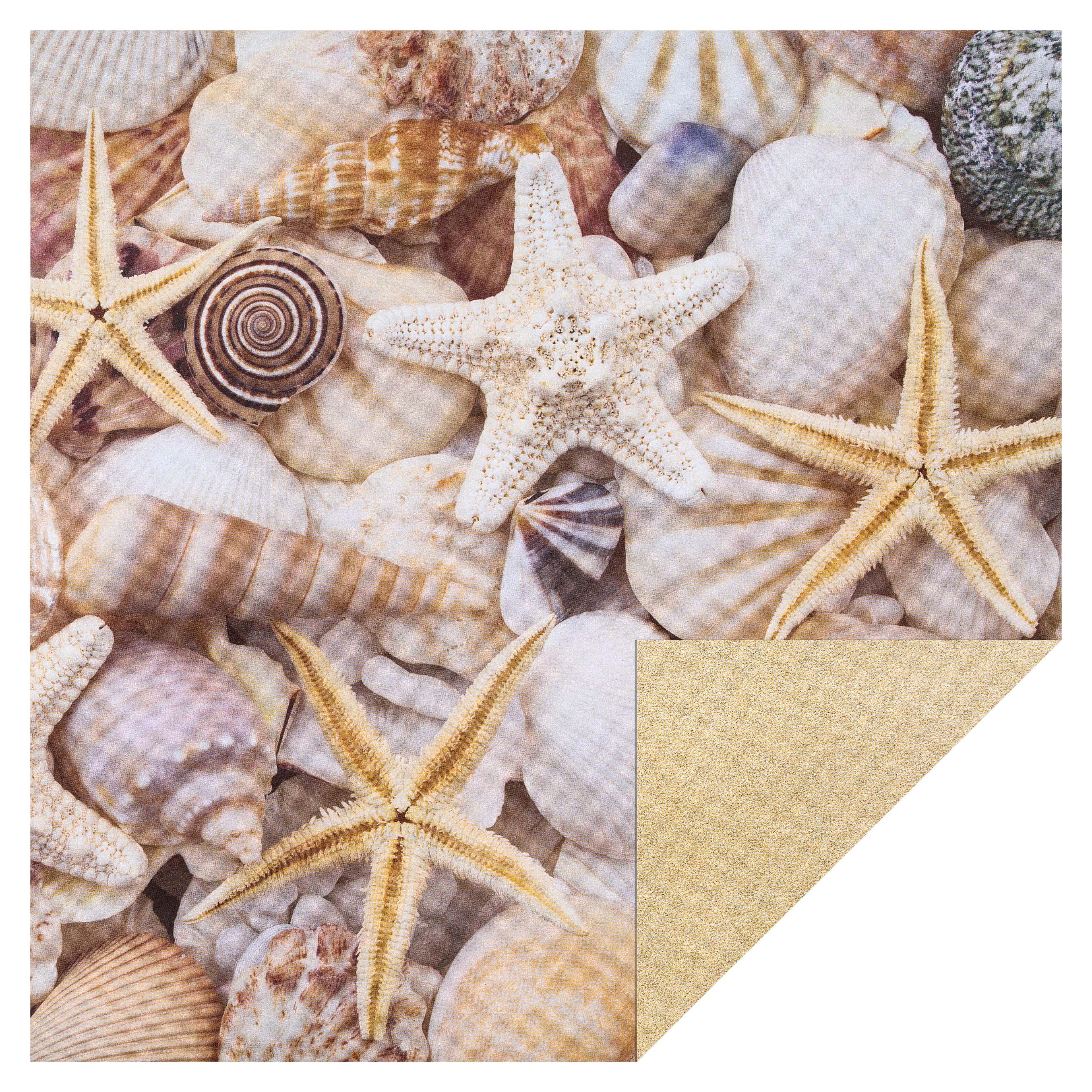 Seashell &#x26; Beach Double-Sided Cardstock by Recollections&#x2122;, 12&#x22; x 12&#x22;