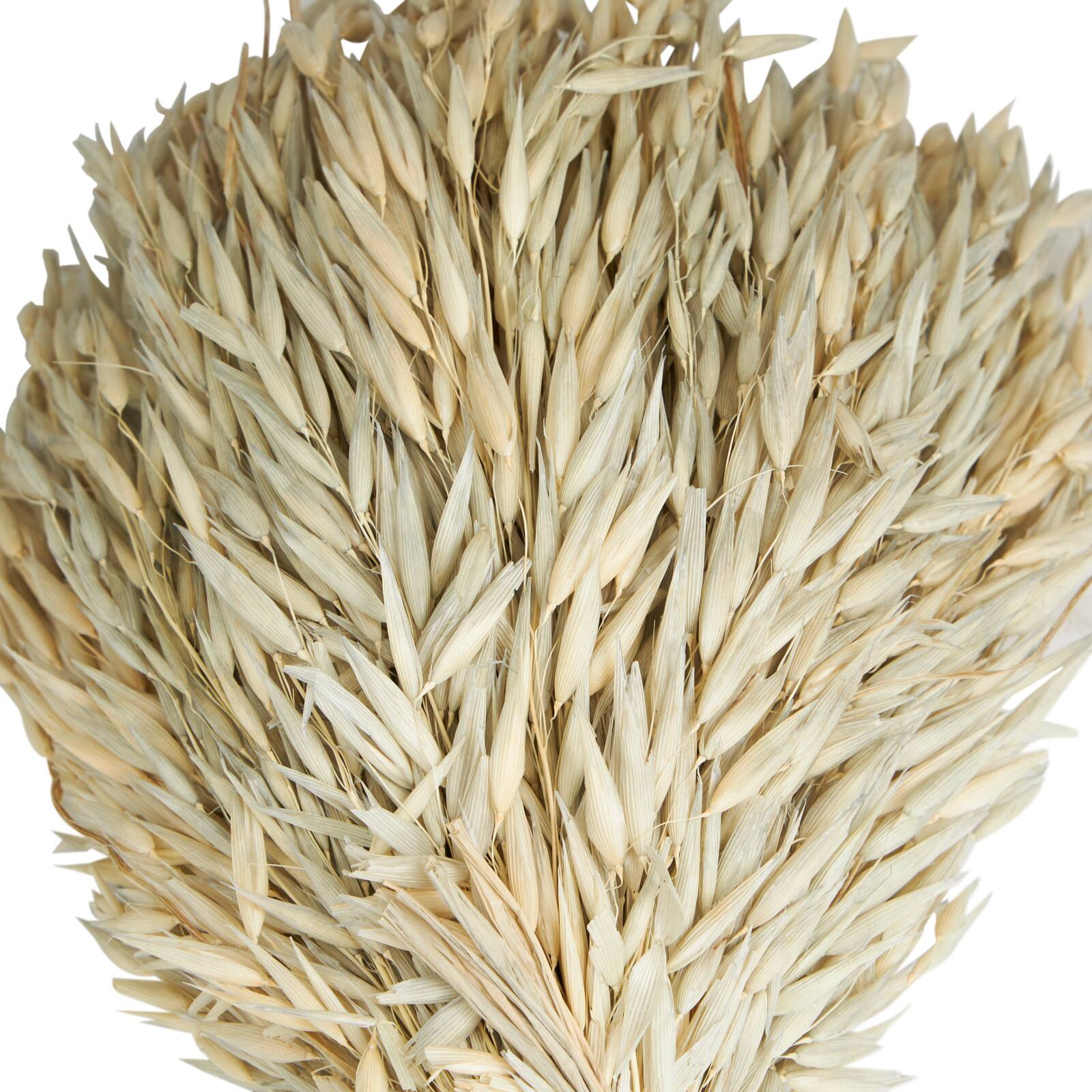 17" Beige Wheat Stalk Grass Bundle Natural Foliage