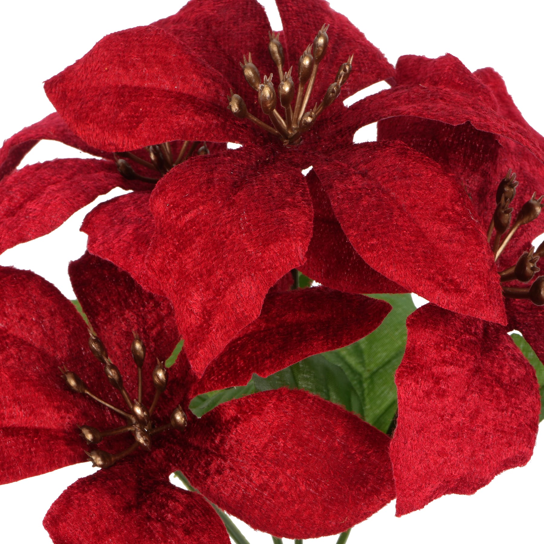 9&#x22; Red Poinsettia Bush by Ashland&#xAE;