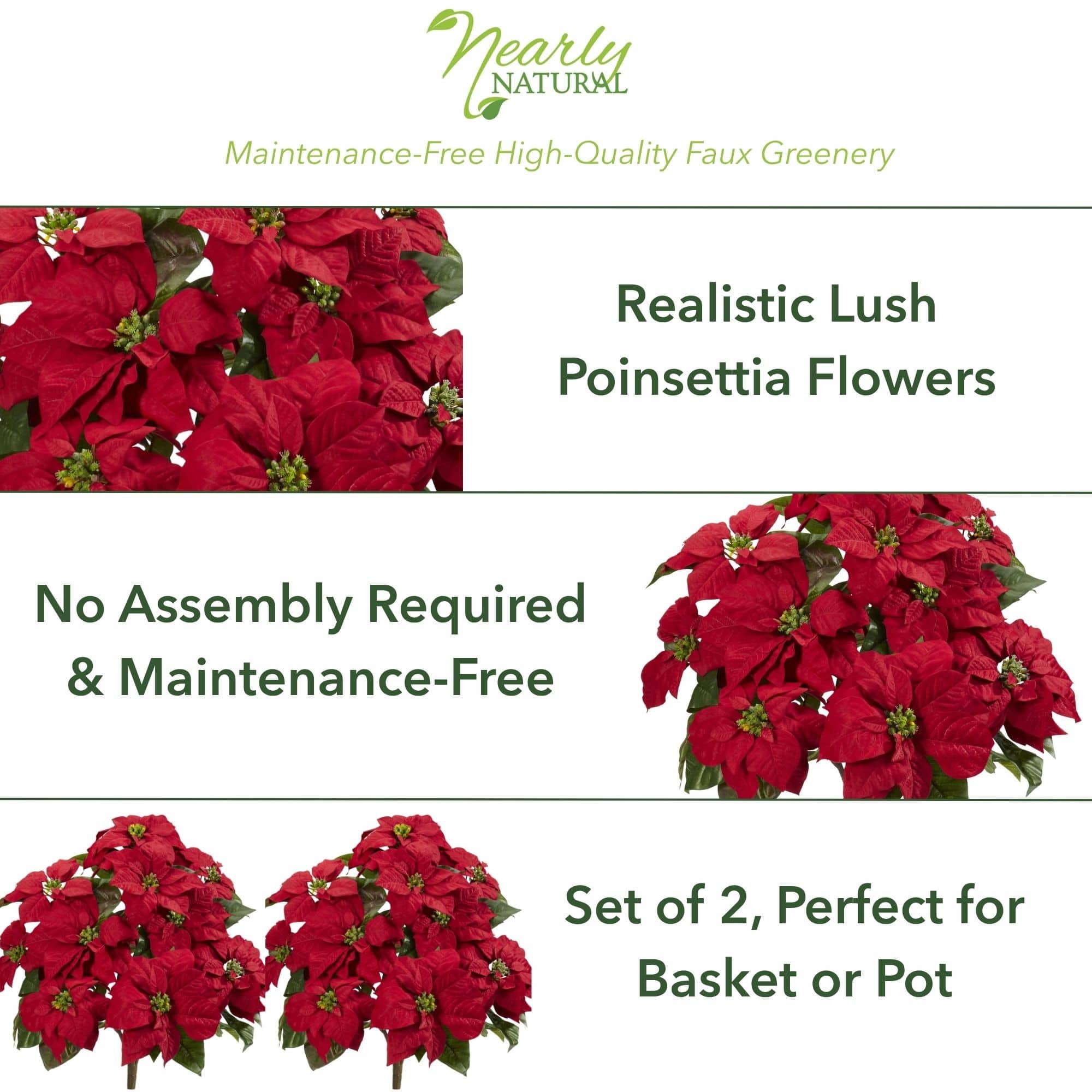 24&#x22; Red Poinsettia Plant Set