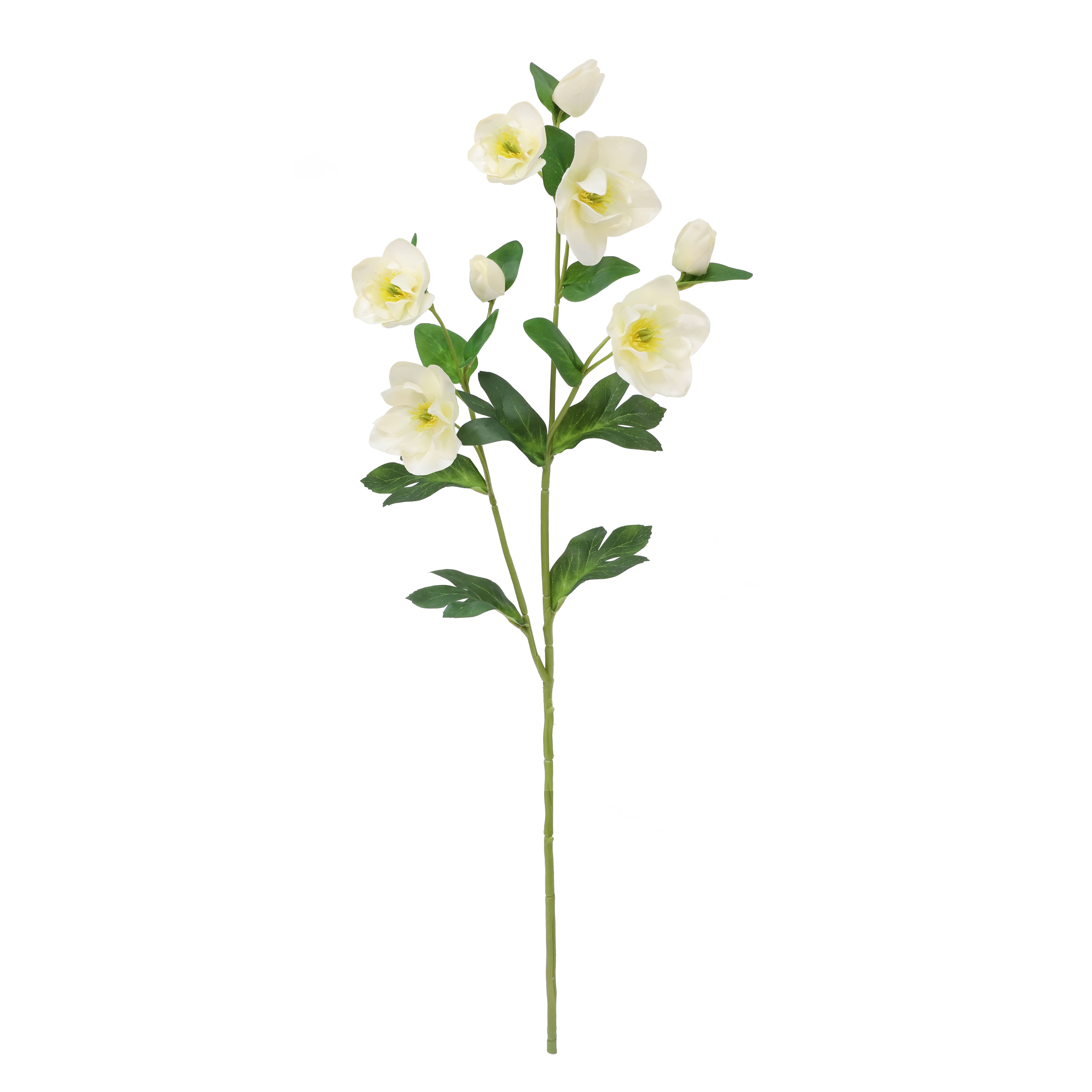 30" Cream Helleborus Stem by Ashland®