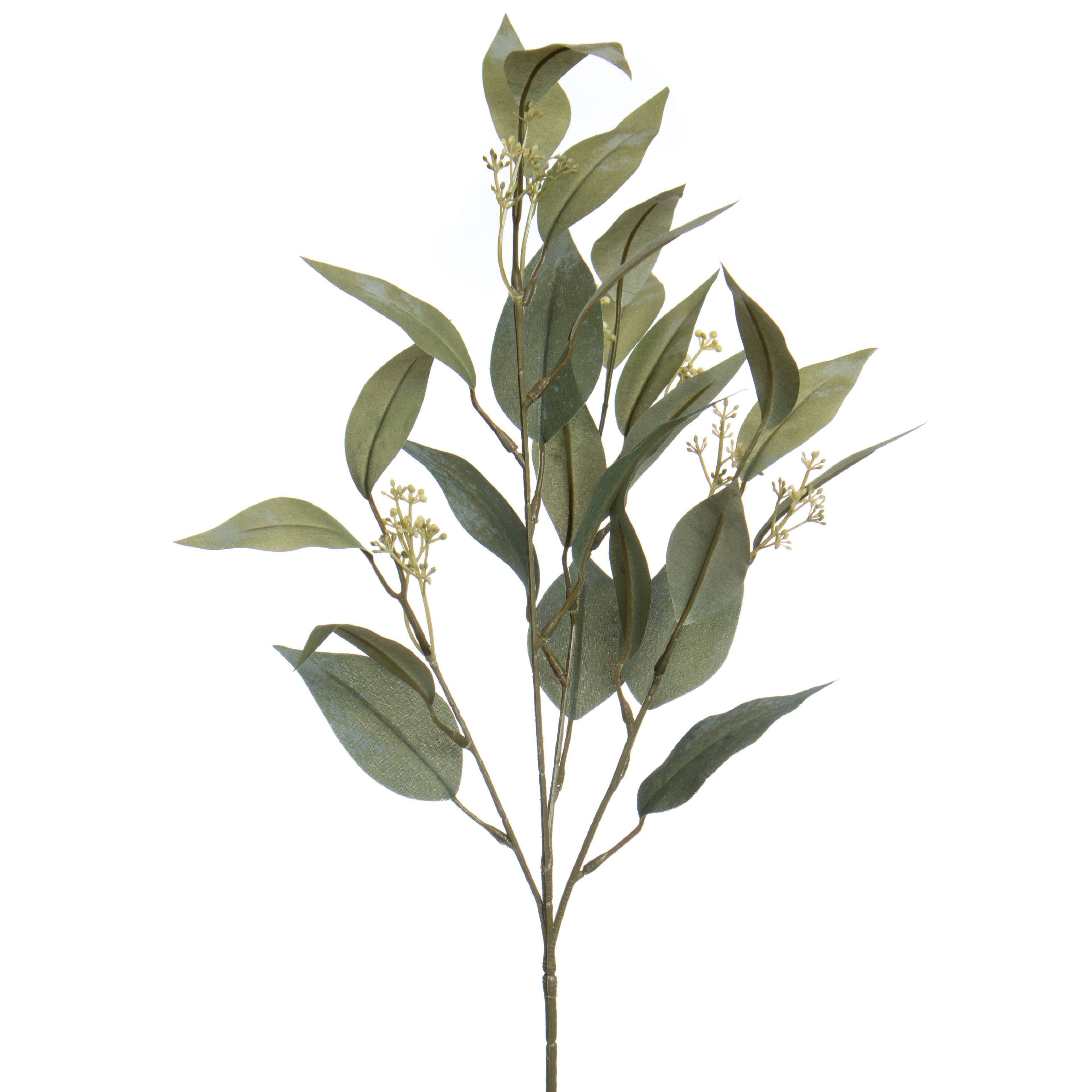 27&#x22; Green Seeded Eucalyptus Stem by Ashland&#xAE;