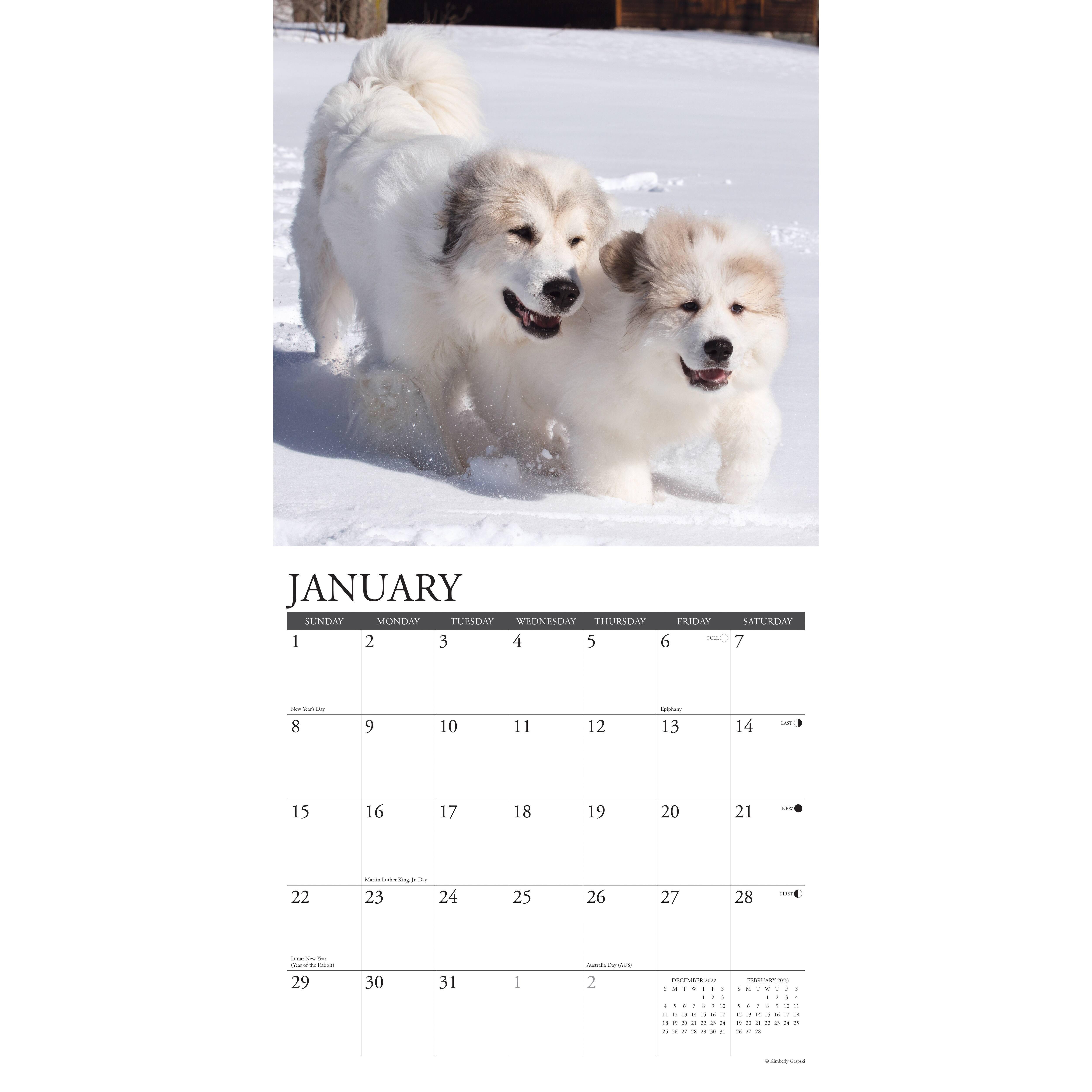 2023 Just Great Pyrenees Wall Calendar Michaels