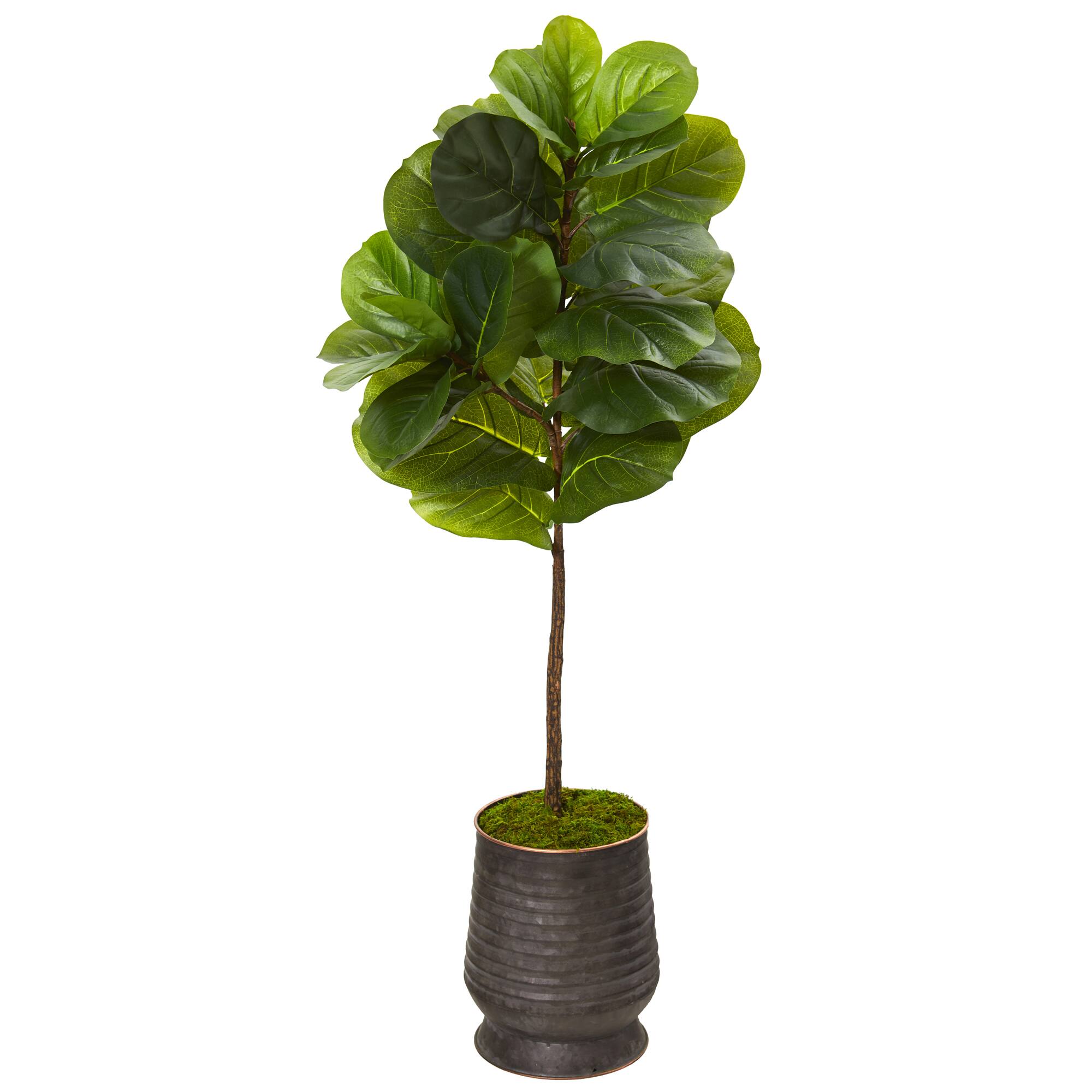 4ft. Fiddle Leaf Tree in Ribbed Metal Planter
