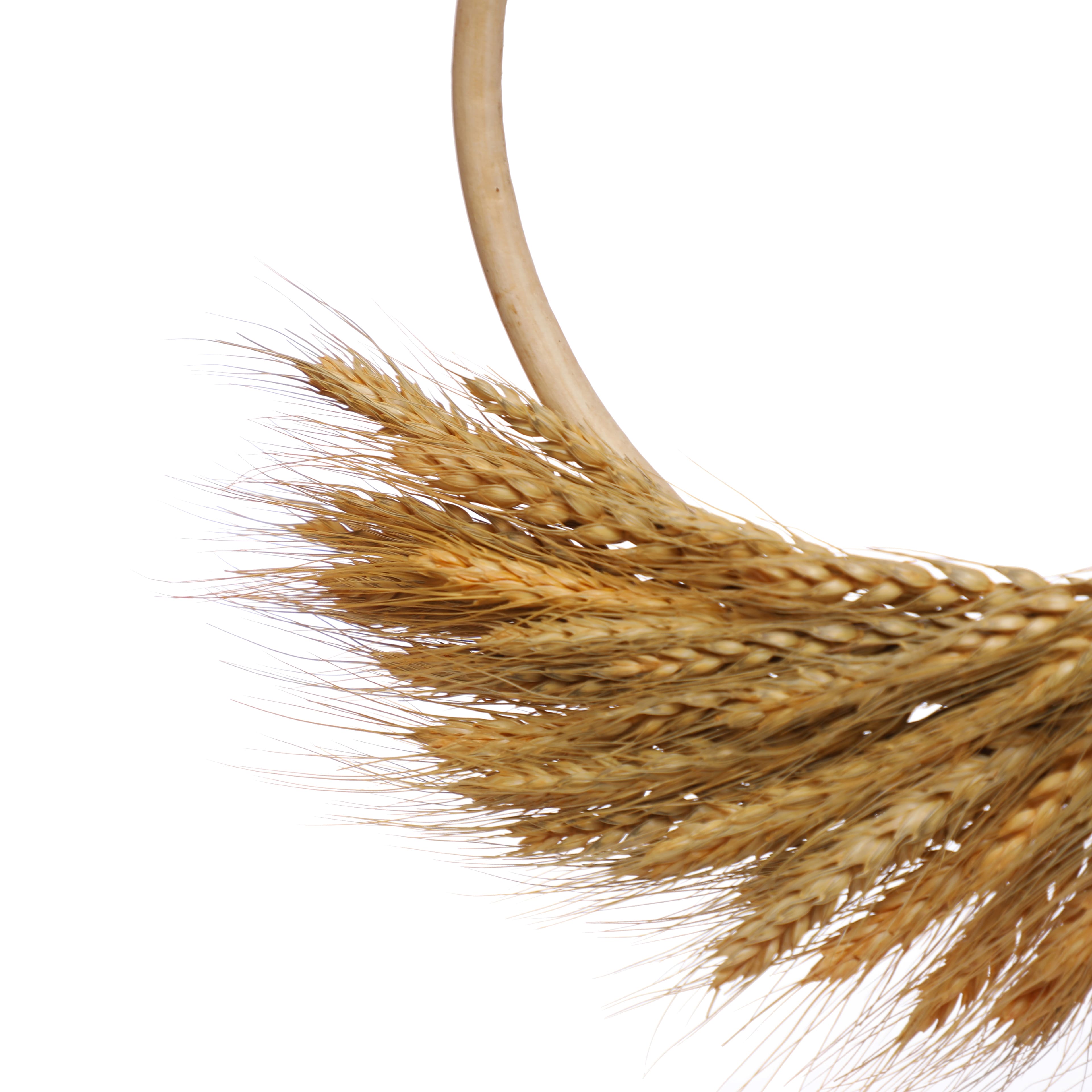 19&#x22; Common Wheat Wreath by Ashland&#xAE;