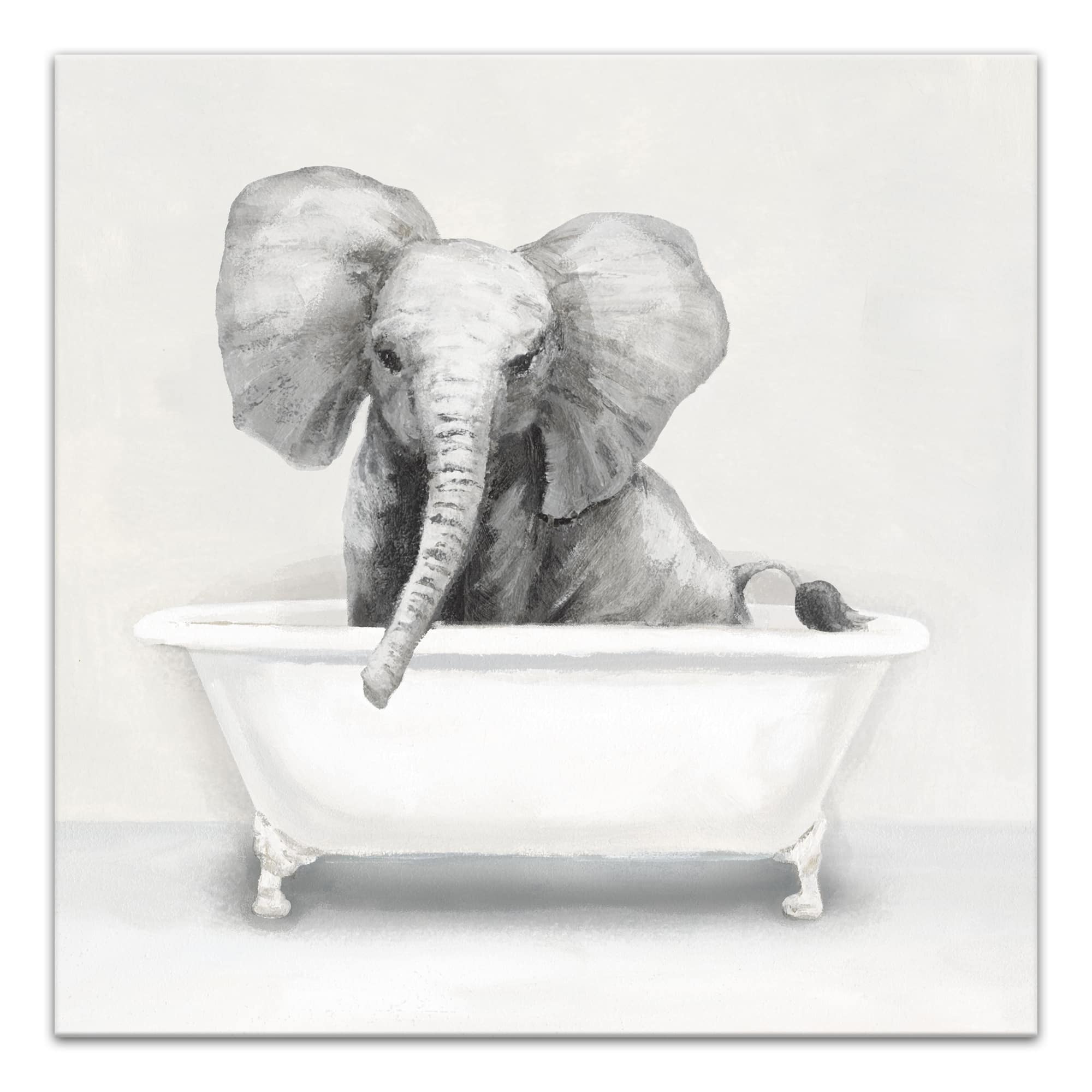Elephant In The Tub 20" x 20" Canvas Wall Art