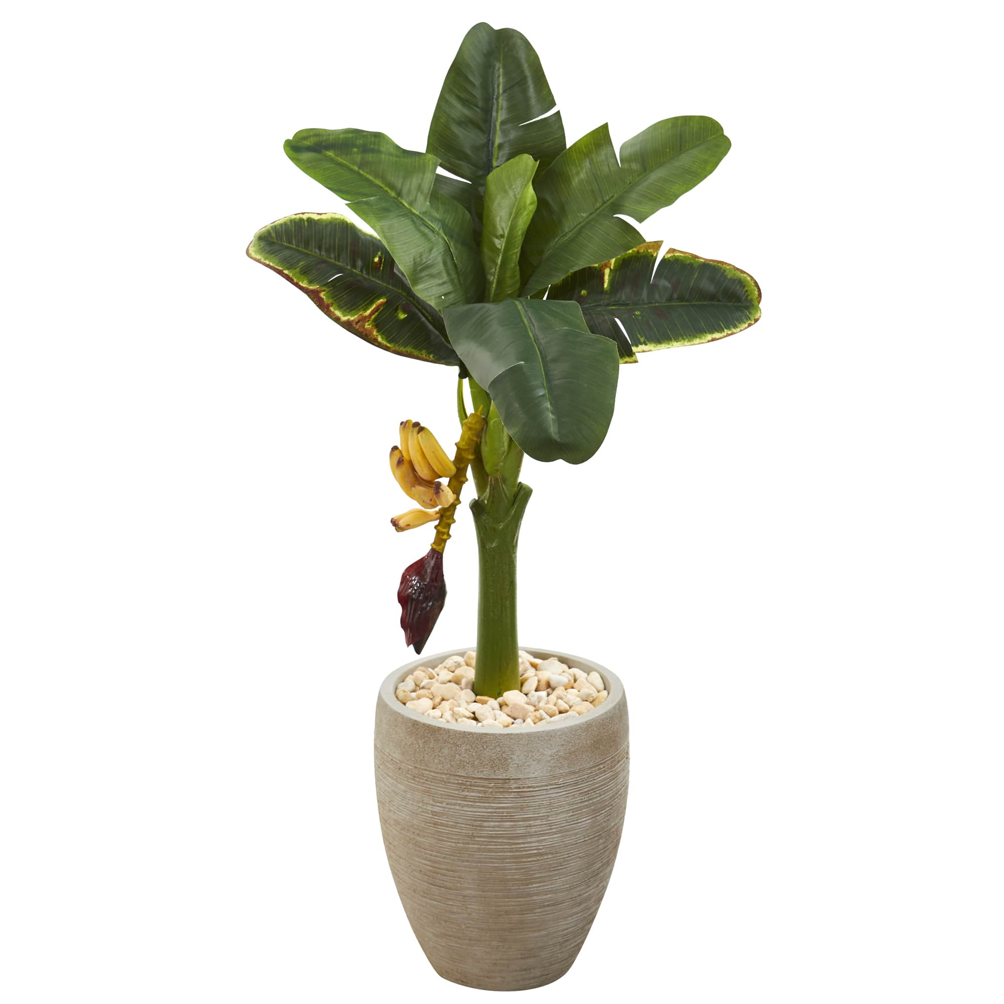 3ft. Banana Tree in Sand Colored Planter