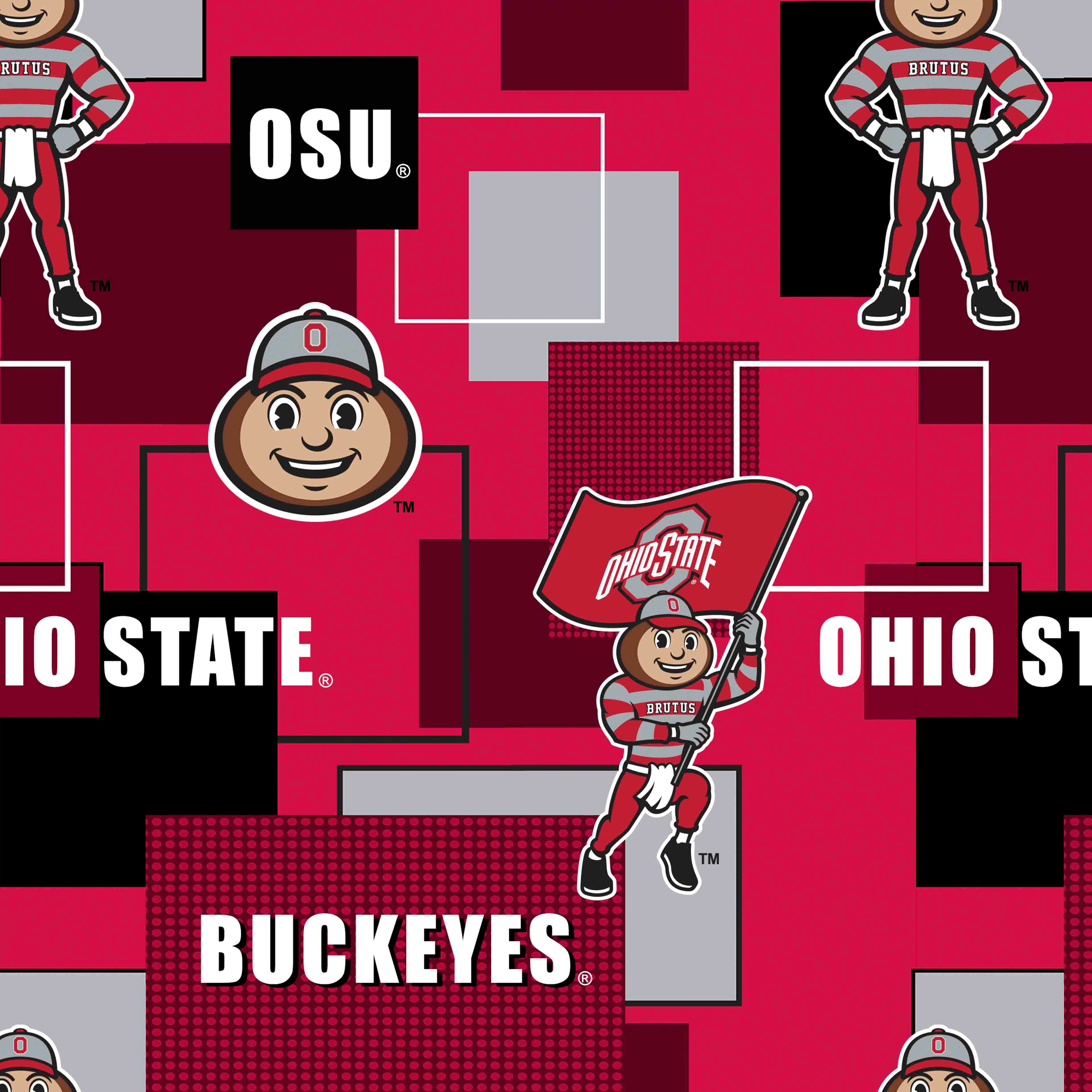 NCAA Ohio State University Buckeyes Block Cotton Fabric