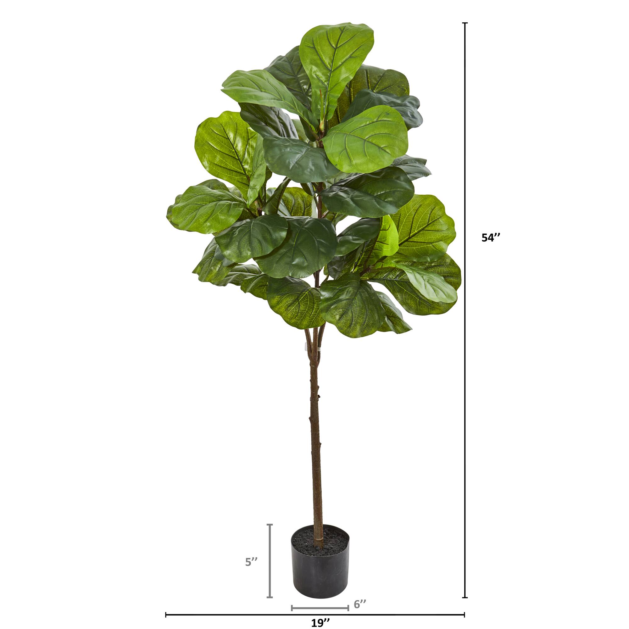 4.5ft. Fiddle Leaf Tree with White Planter