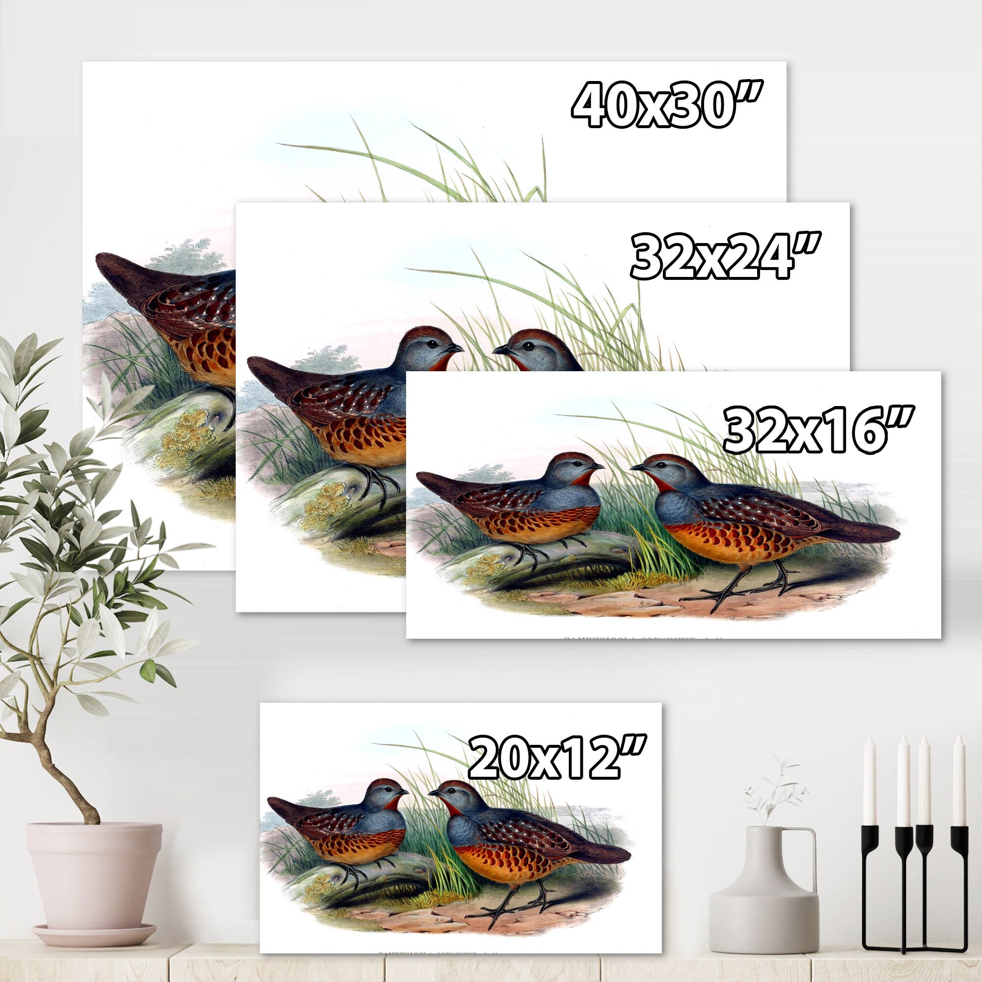 Designart - Vintage Birds In The Wild VII - Traditional Canvas Wall Art Print