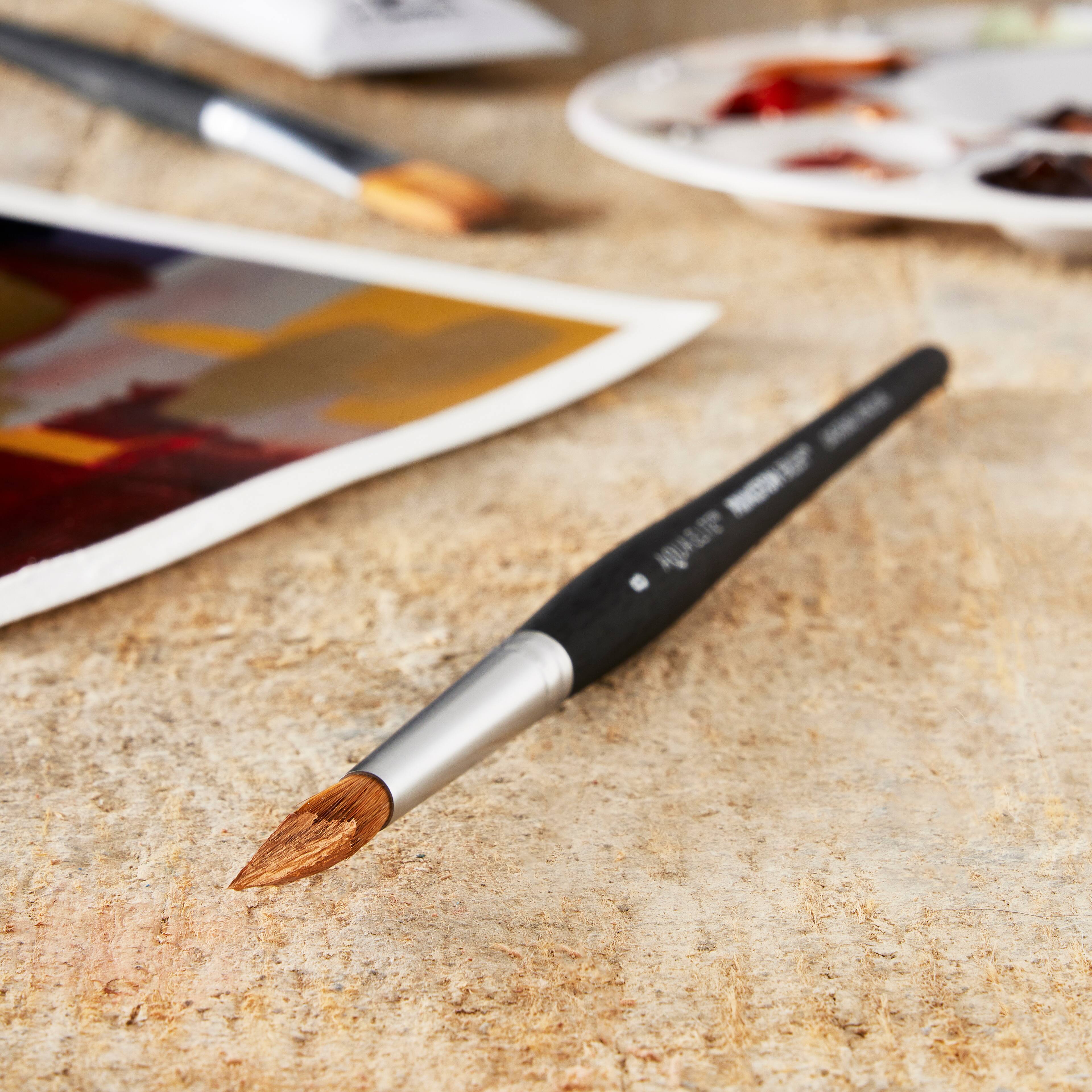 12 Pack: Princeton™ Aqua Elite™ Series 4850 Short Handle Long Round Brush