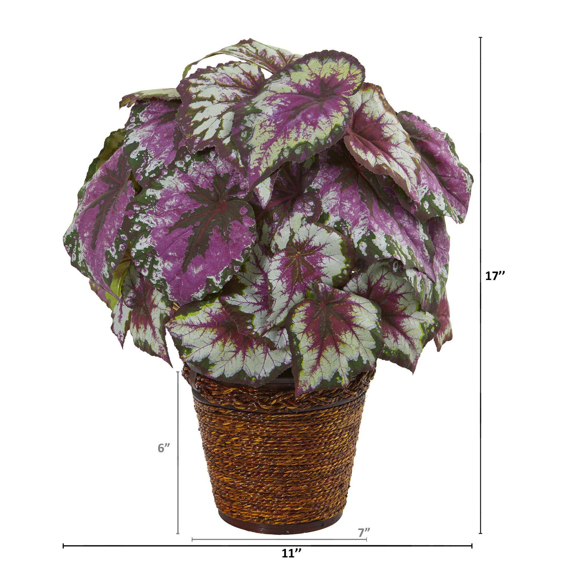 17" Wax Begonia Plant in Basket