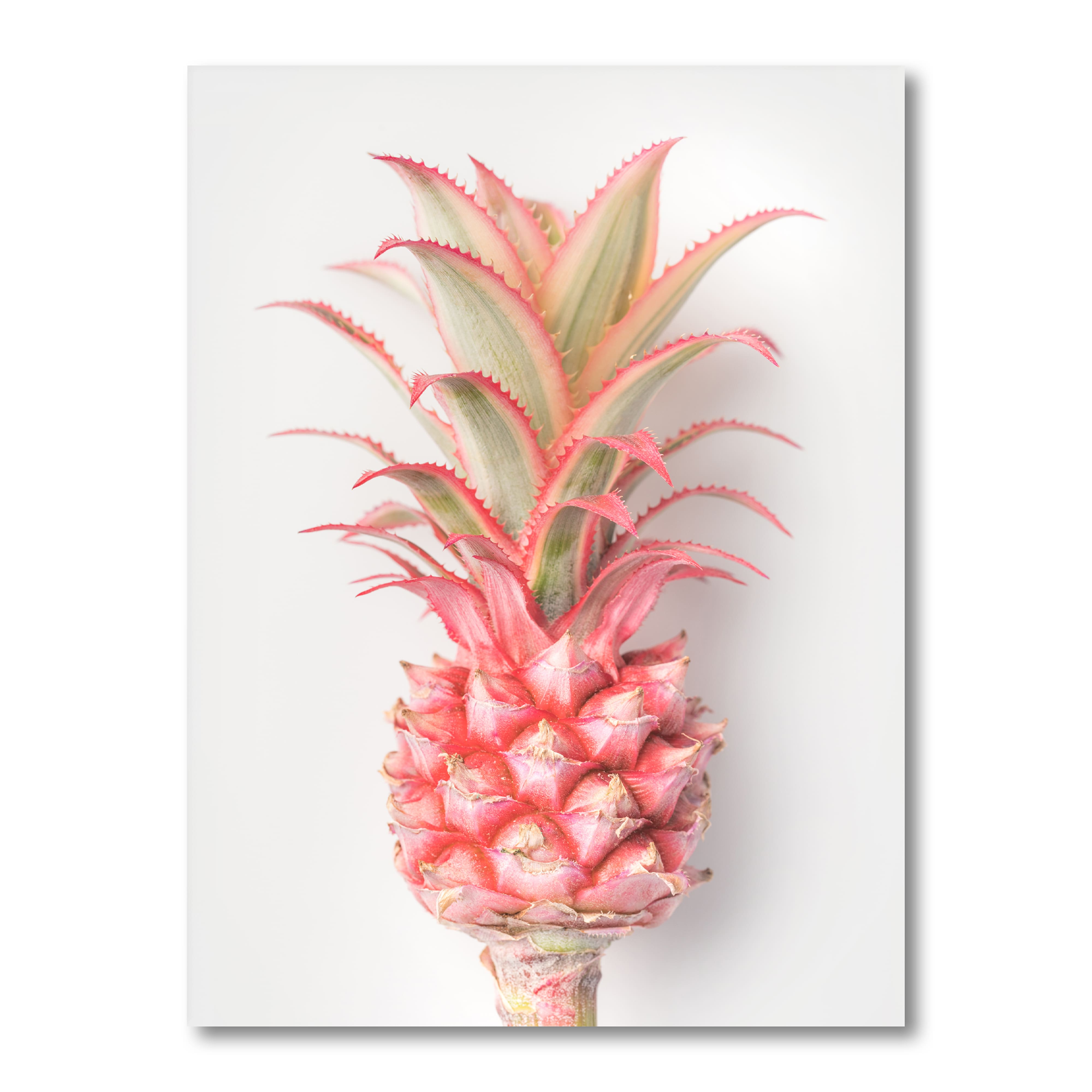 Designart - Pineapple - Tropical Canvas Wall Art