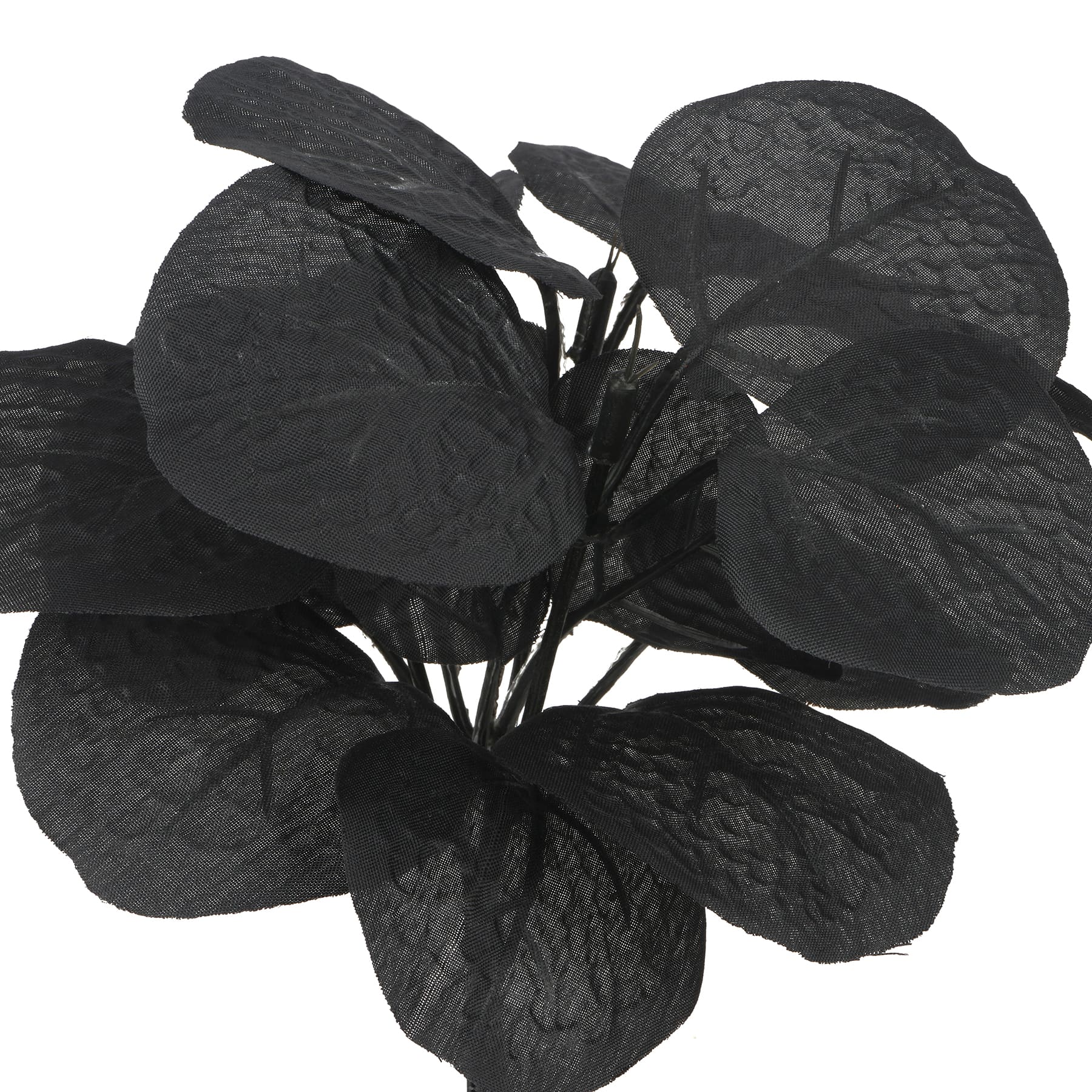 10.5&#x22; Mini Eucalyptus Bundle by Ashland&#xAE;