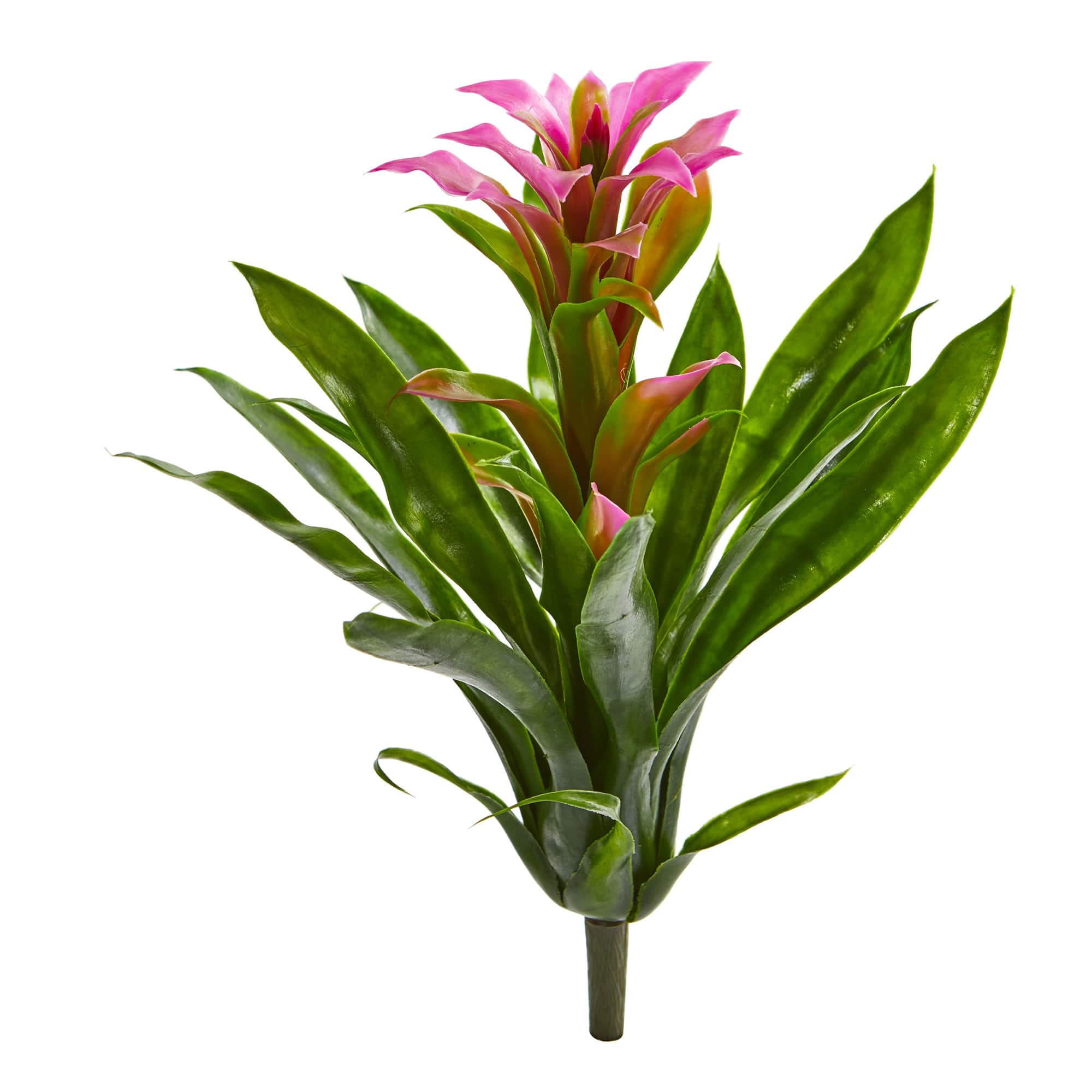 Purple Bromeliad Flower, 4ct.