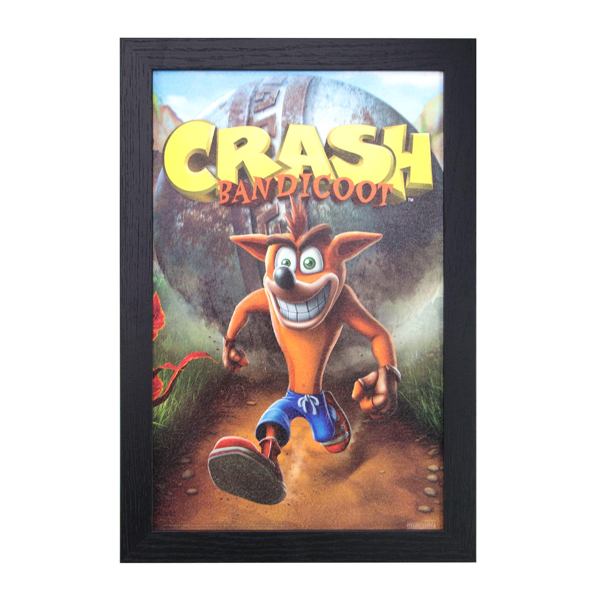 Crash Bandicoot Vintage Video Game Framed Wall Art