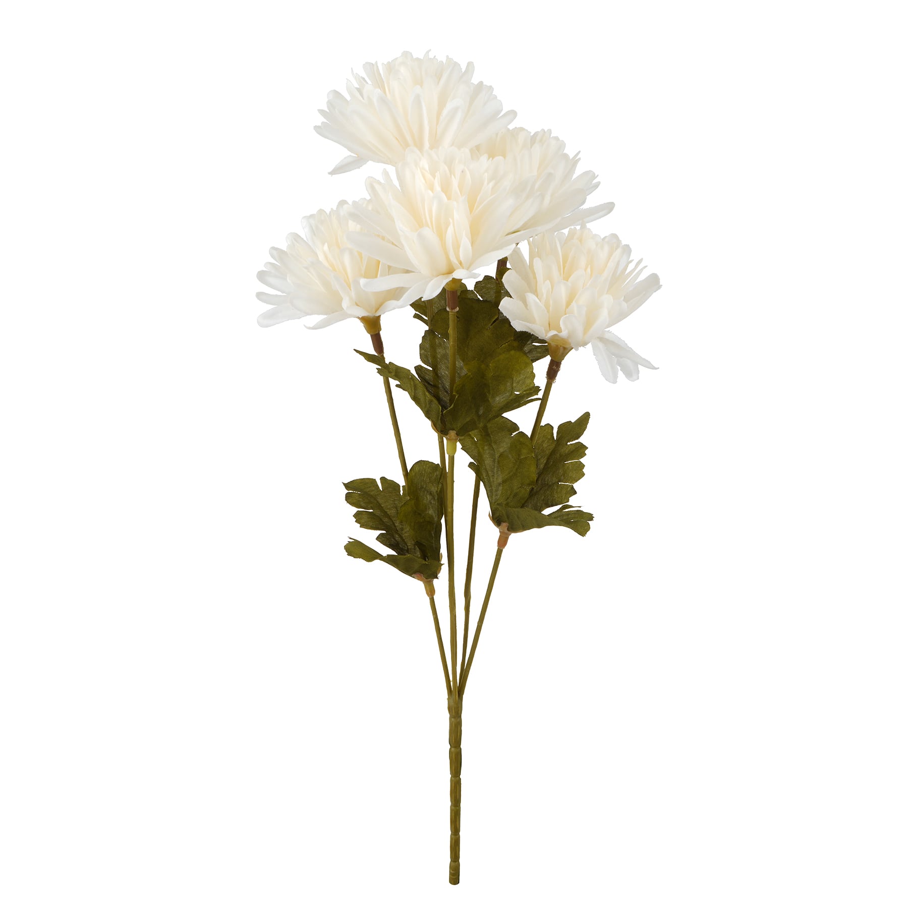 12" Mum Bush by Ashland®