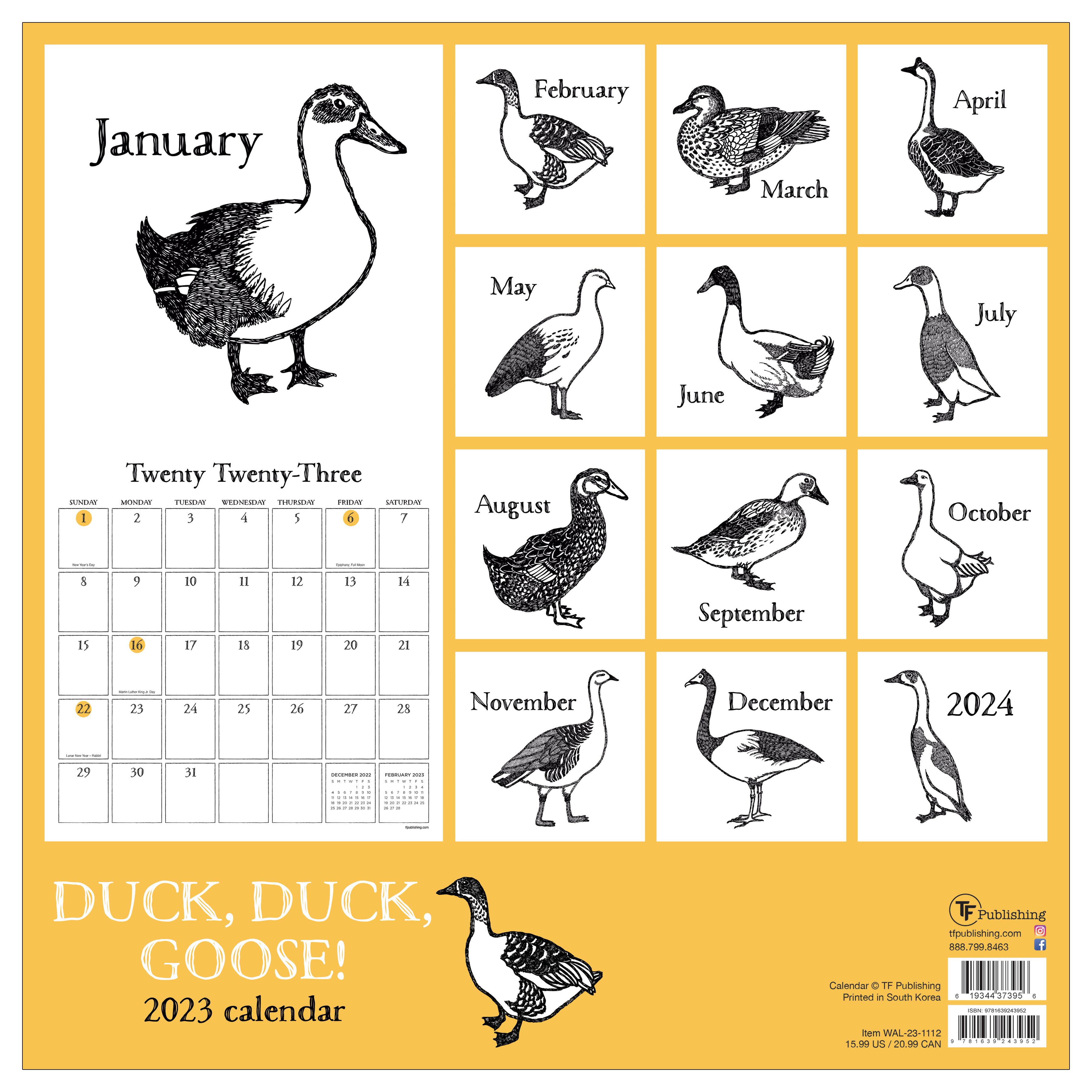 TF Publishing 2023 Duck Duck Goose Wall Calendar Michaels