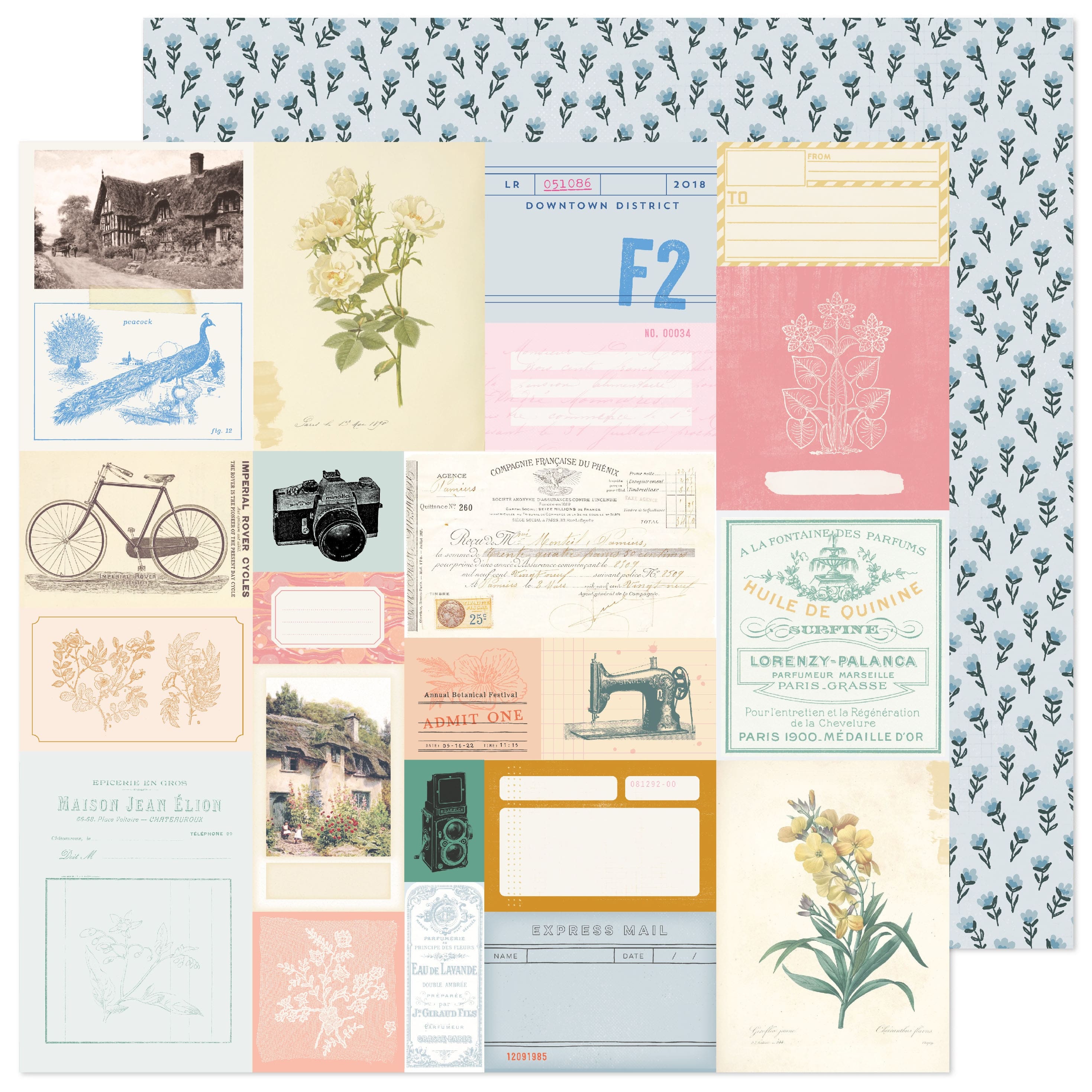 Maggie Holmes Parasol Parfumerie 12&#x22; x 12&#x22; Double-Sided Cardstock, 25 Sheets