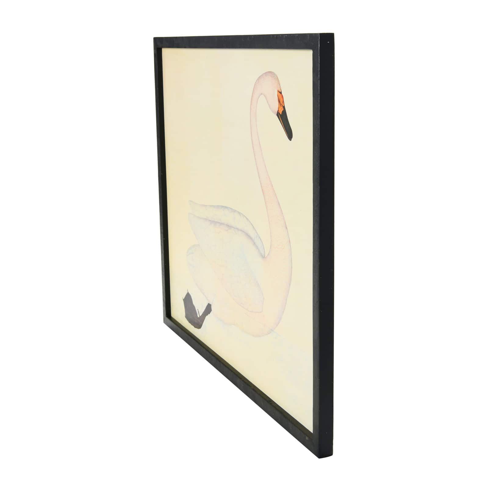 Vintage Reproduction Swan Print in White Wooden Frame | Michaels