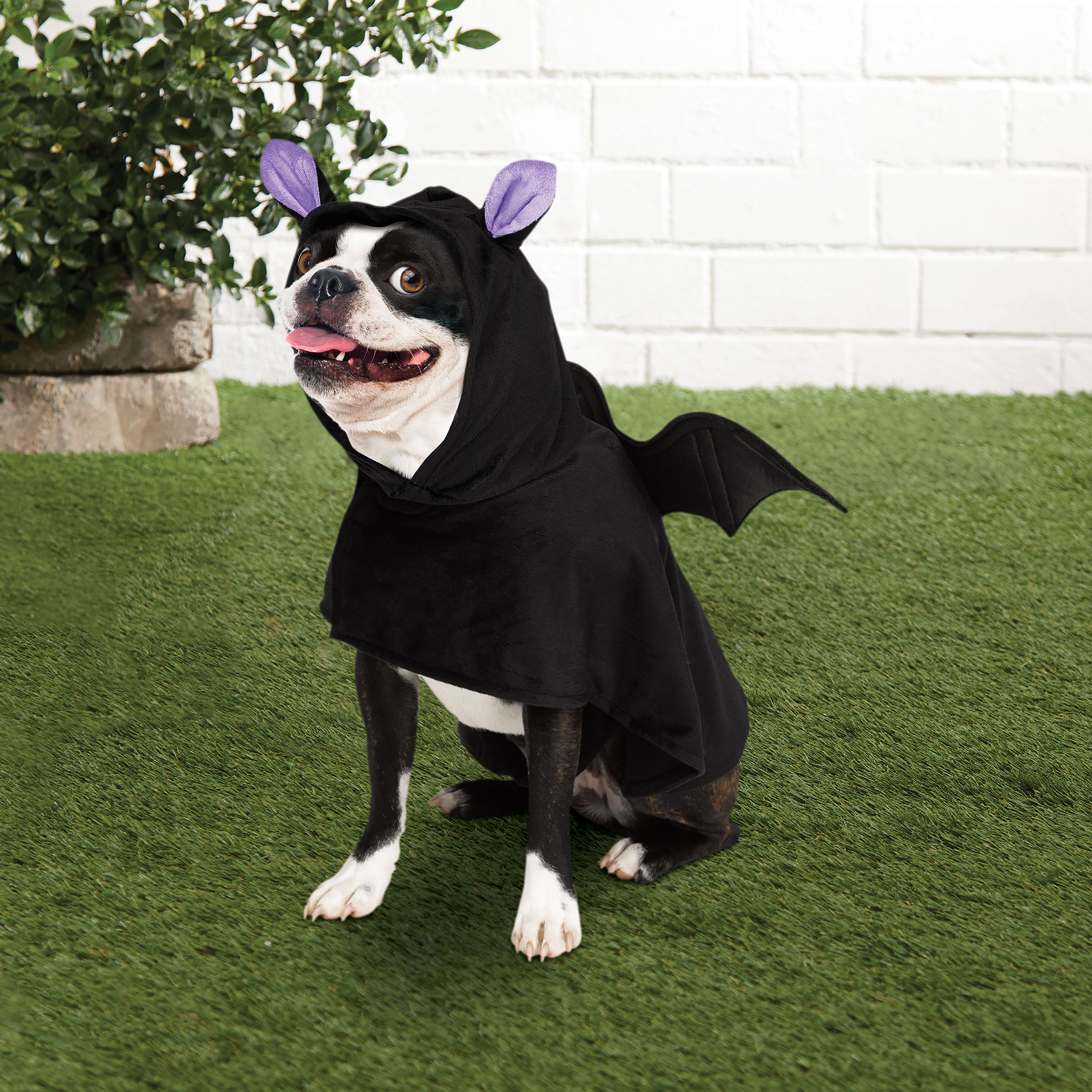 Bat Dog Costume by Ashland&#xAE;