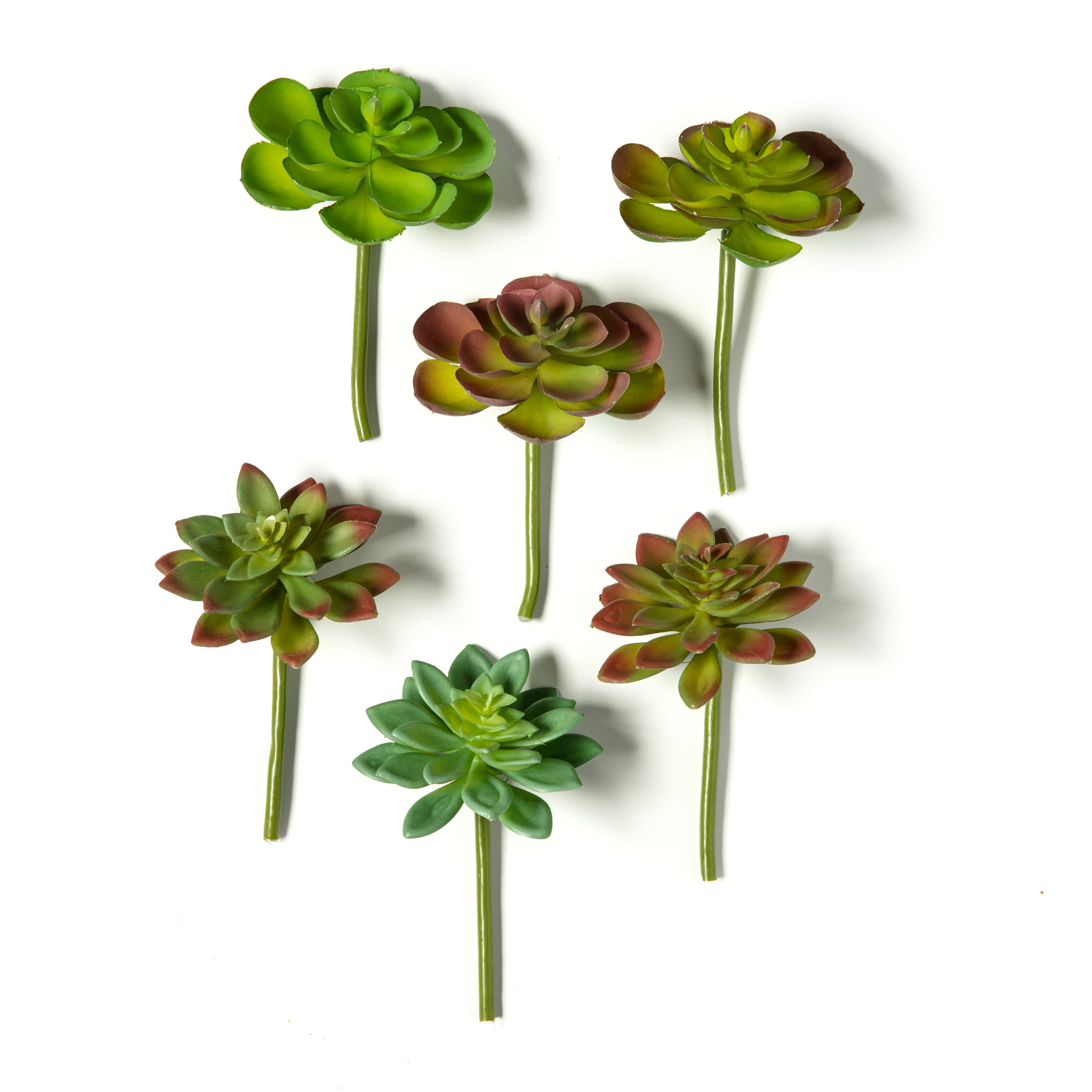 Assorted Snap-On Succulent Pick By Ashland&#xAE;