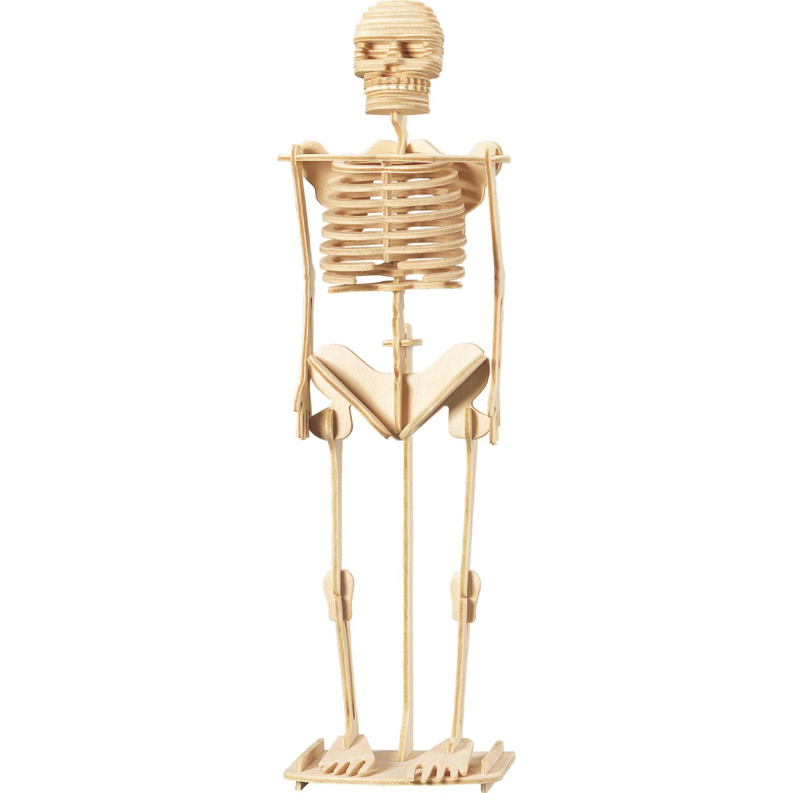 Wonders of Learning Discover the Human Body Educational Tin Set