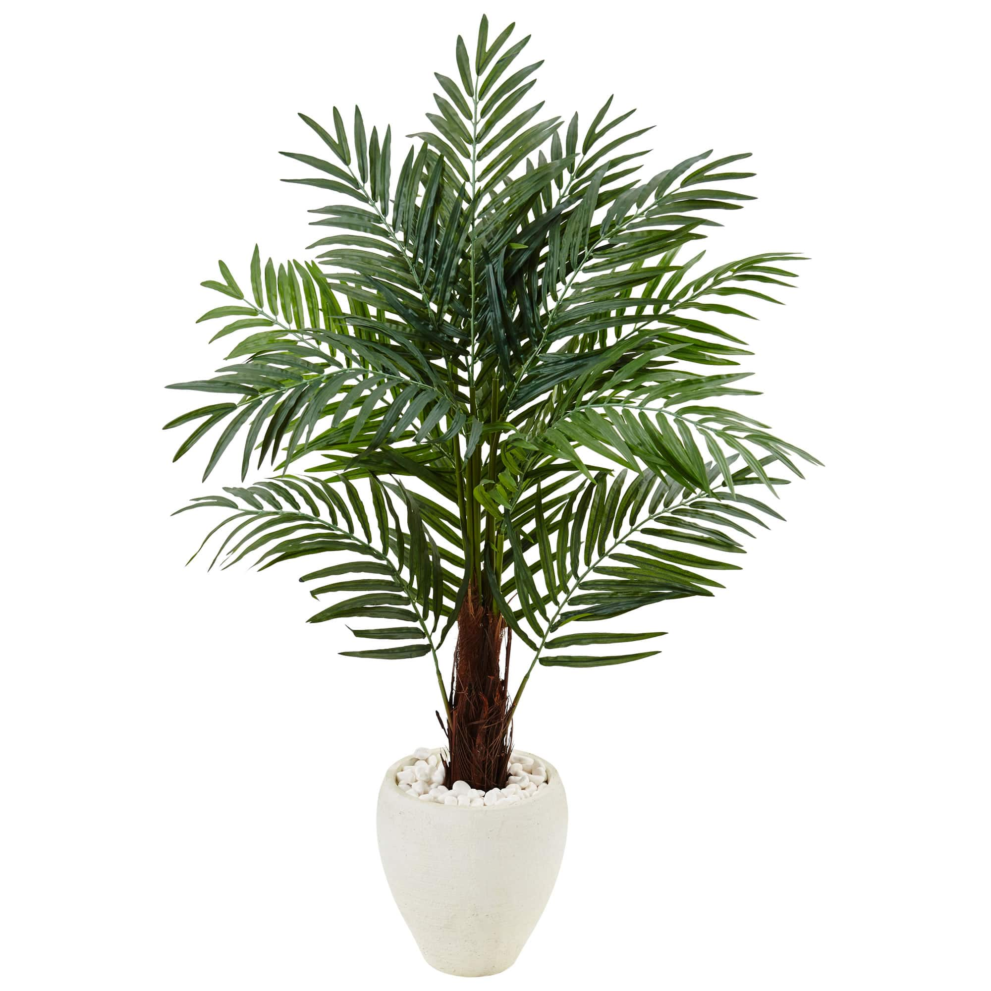 4.5ft. Areca Palm Tree in White Oval Planter