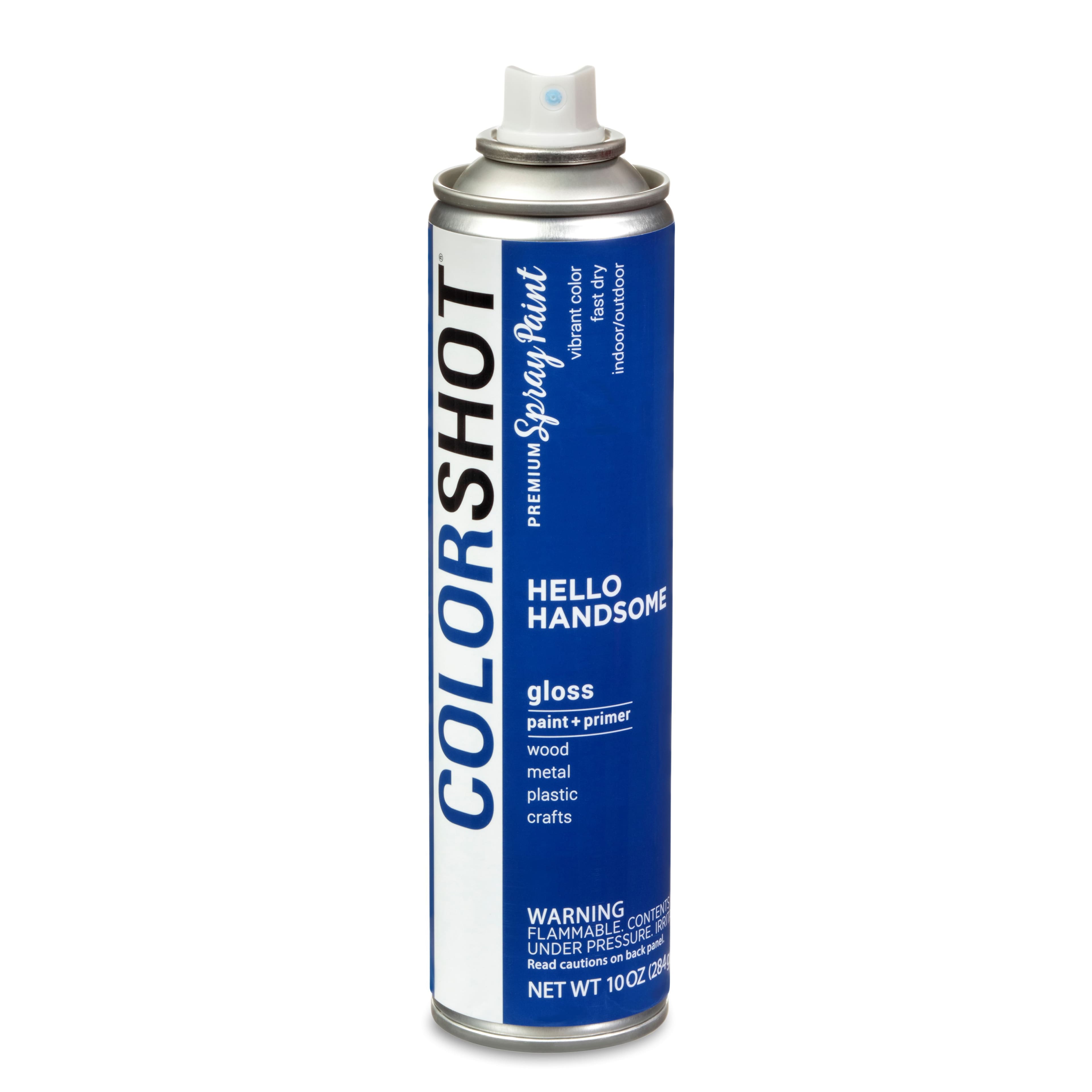COLORSHOT&#xAE; Premium Gloss Spray Paint