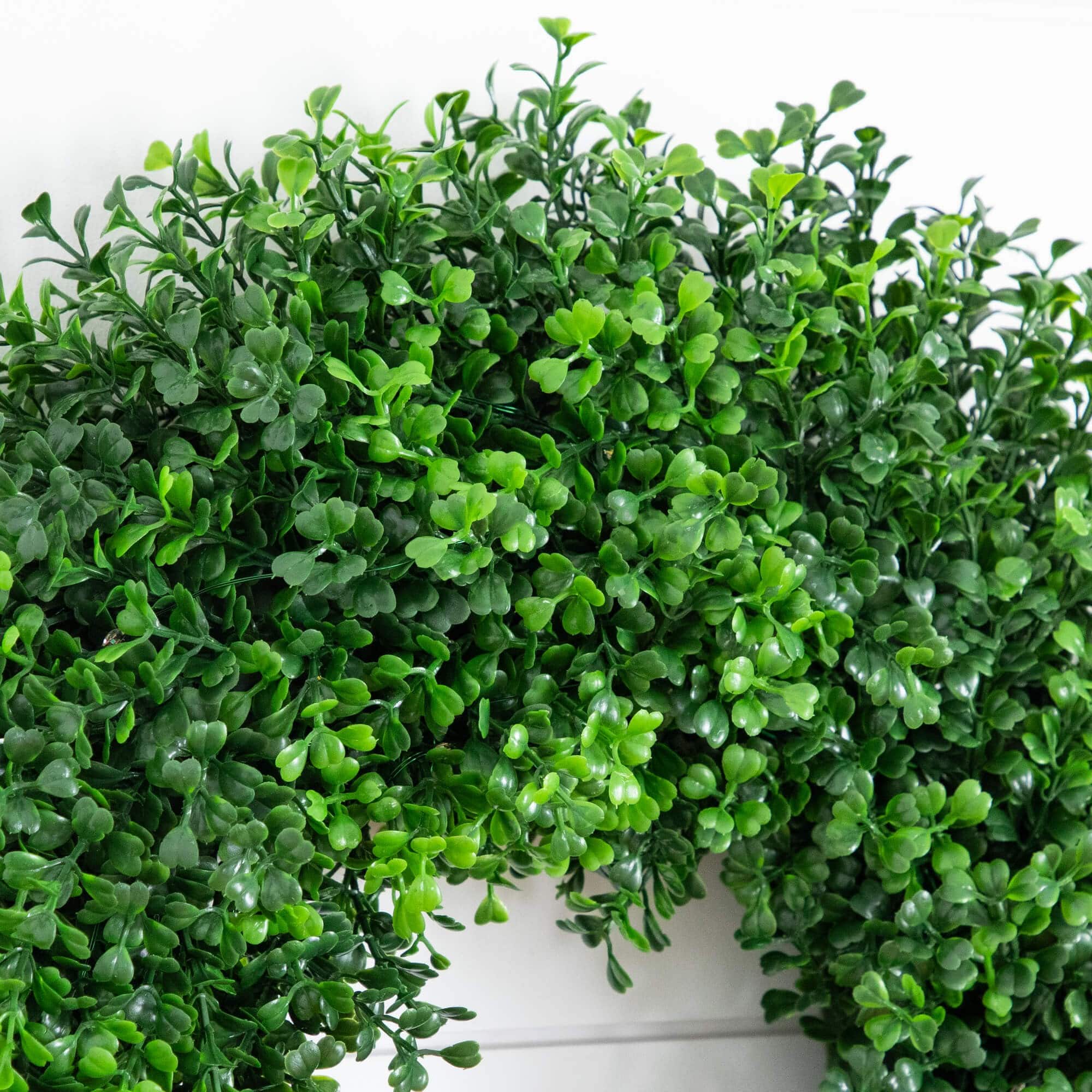 18in. Pre-Lit Artificial Boxwood Wreath with 25 Warm White LED Lights