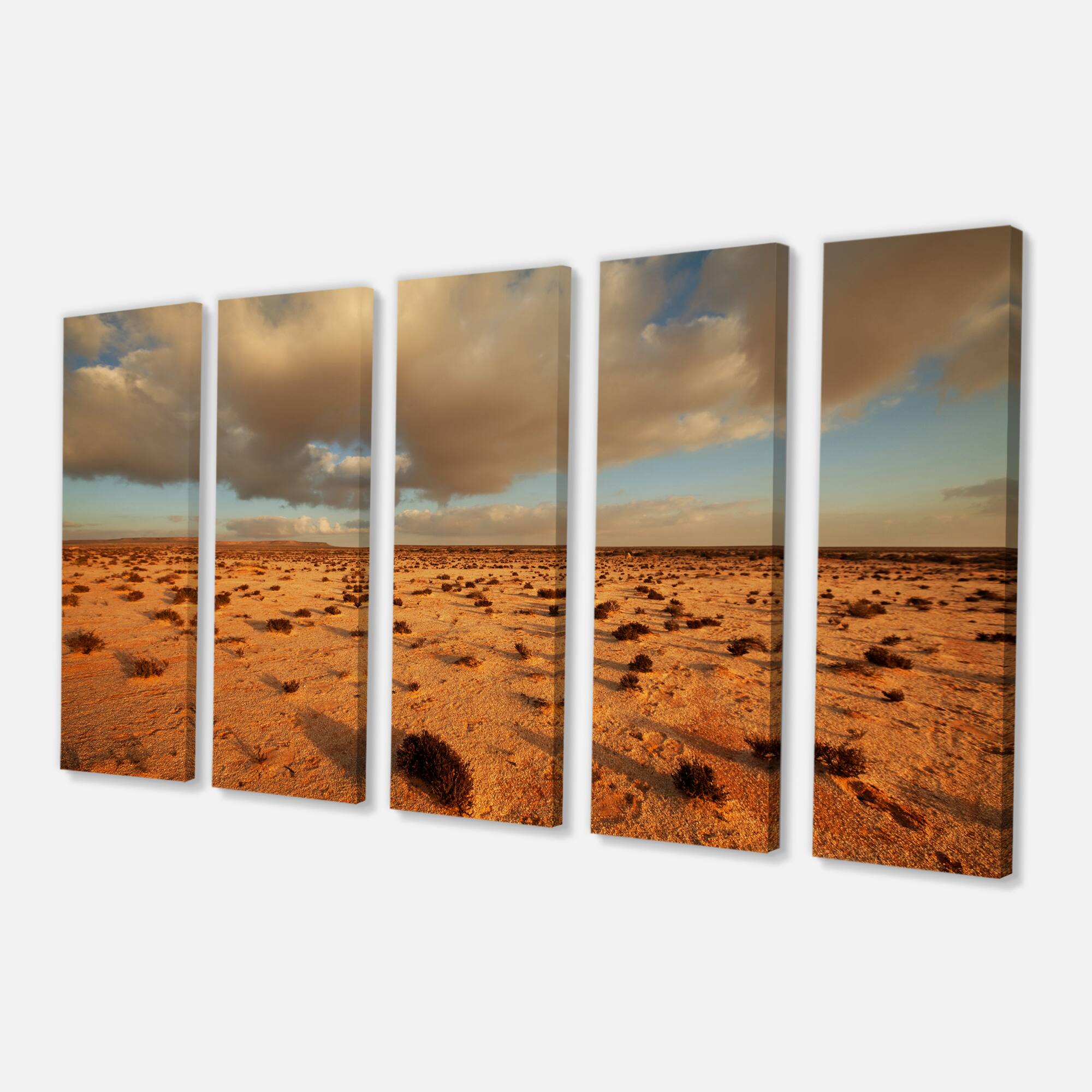 Designart - Desert in Western Sahara - Landscape Canvas Art Print