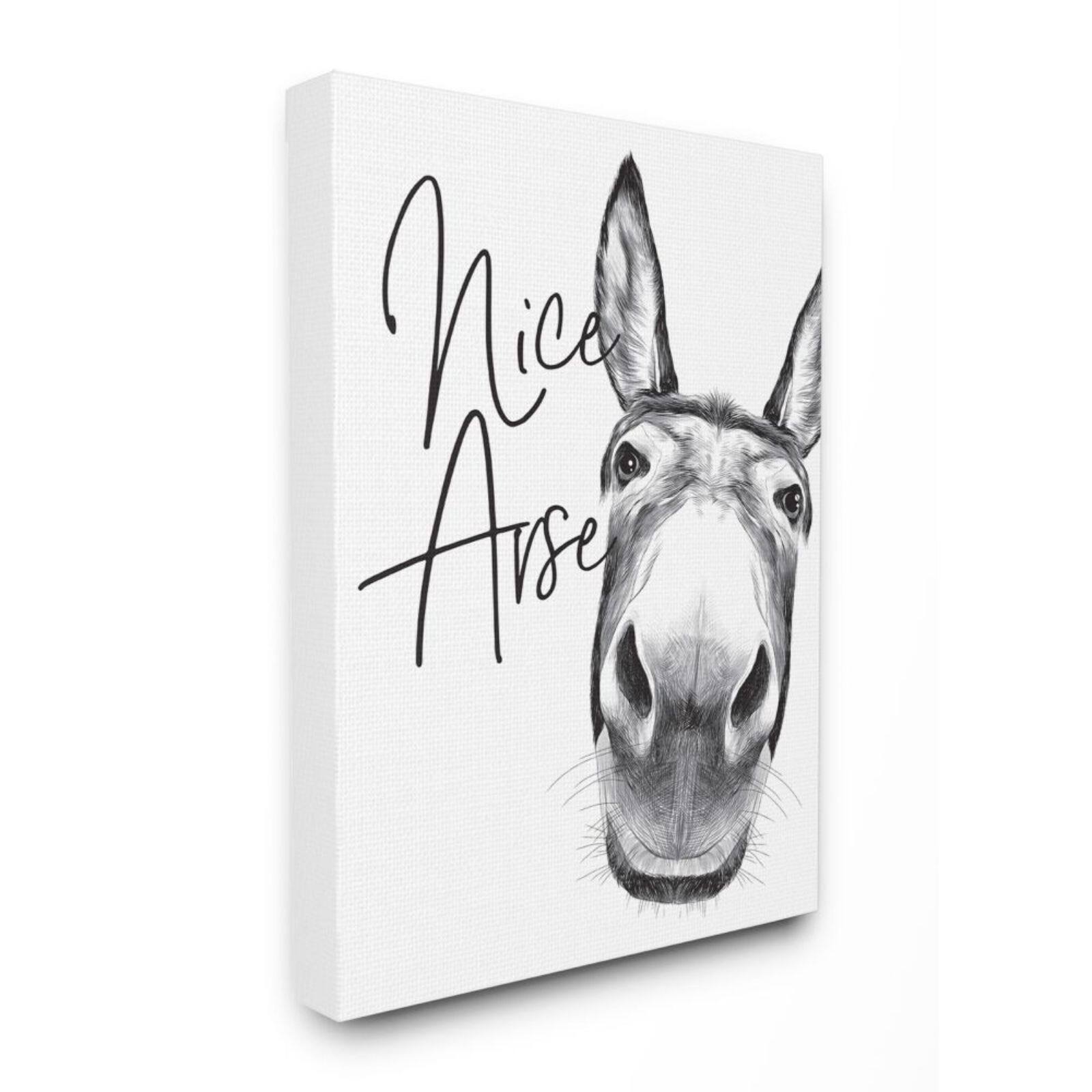 Stupell Industries Animal Humor Nice Arse Donkey Bathroom Phrase Canvas Wall Art
