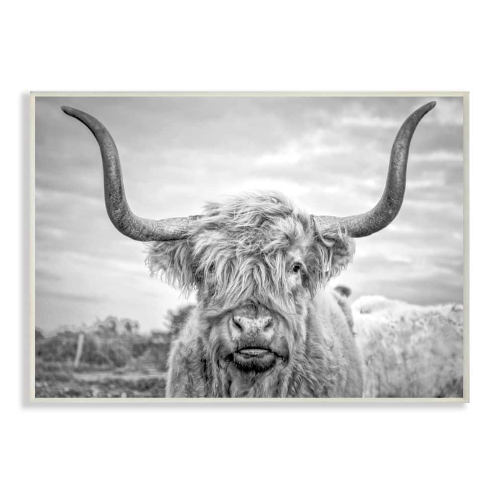 Stupell Industries Black &#x26; White Highland Cow Wall Plaque
