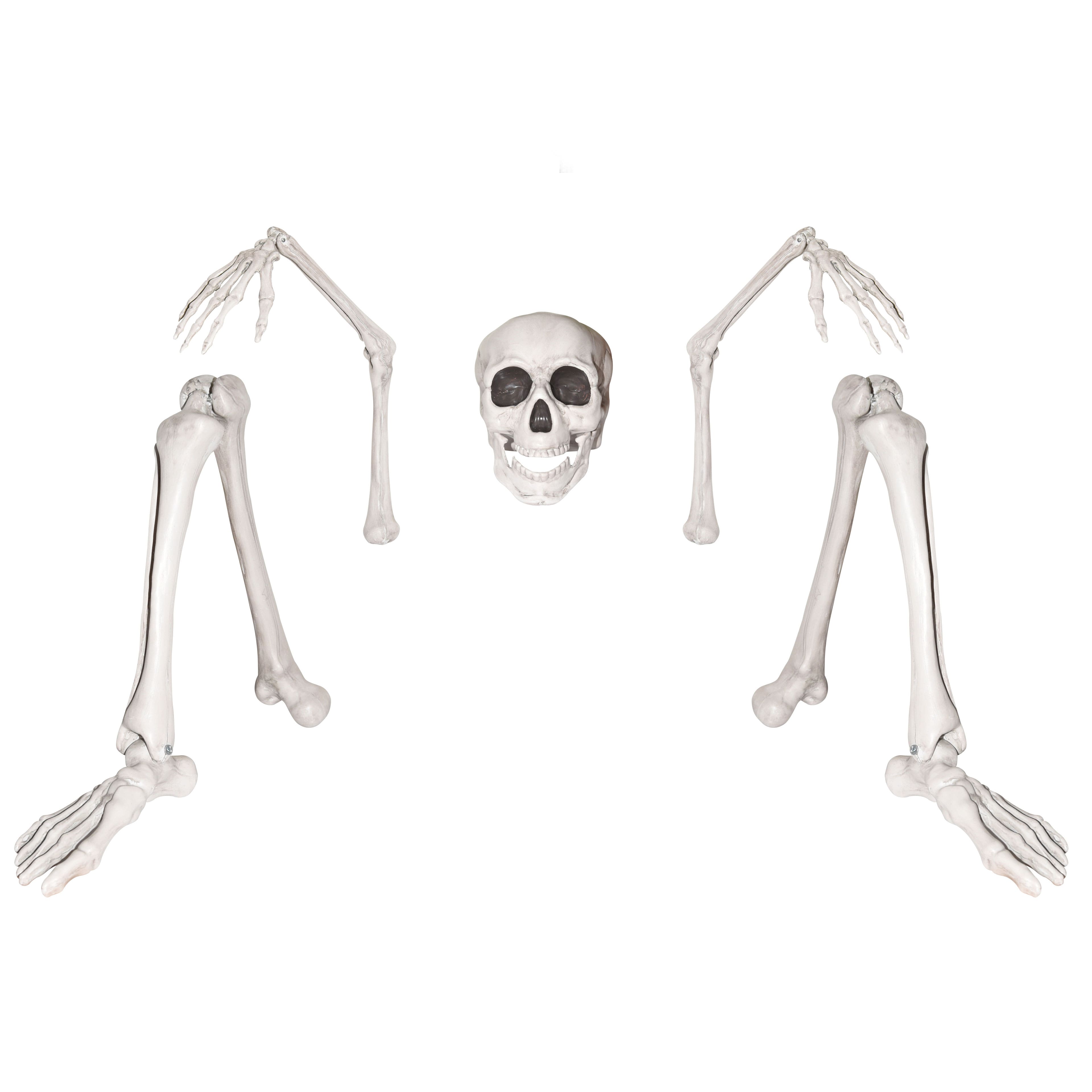 Ground Breaking Skeleton by Ashland®