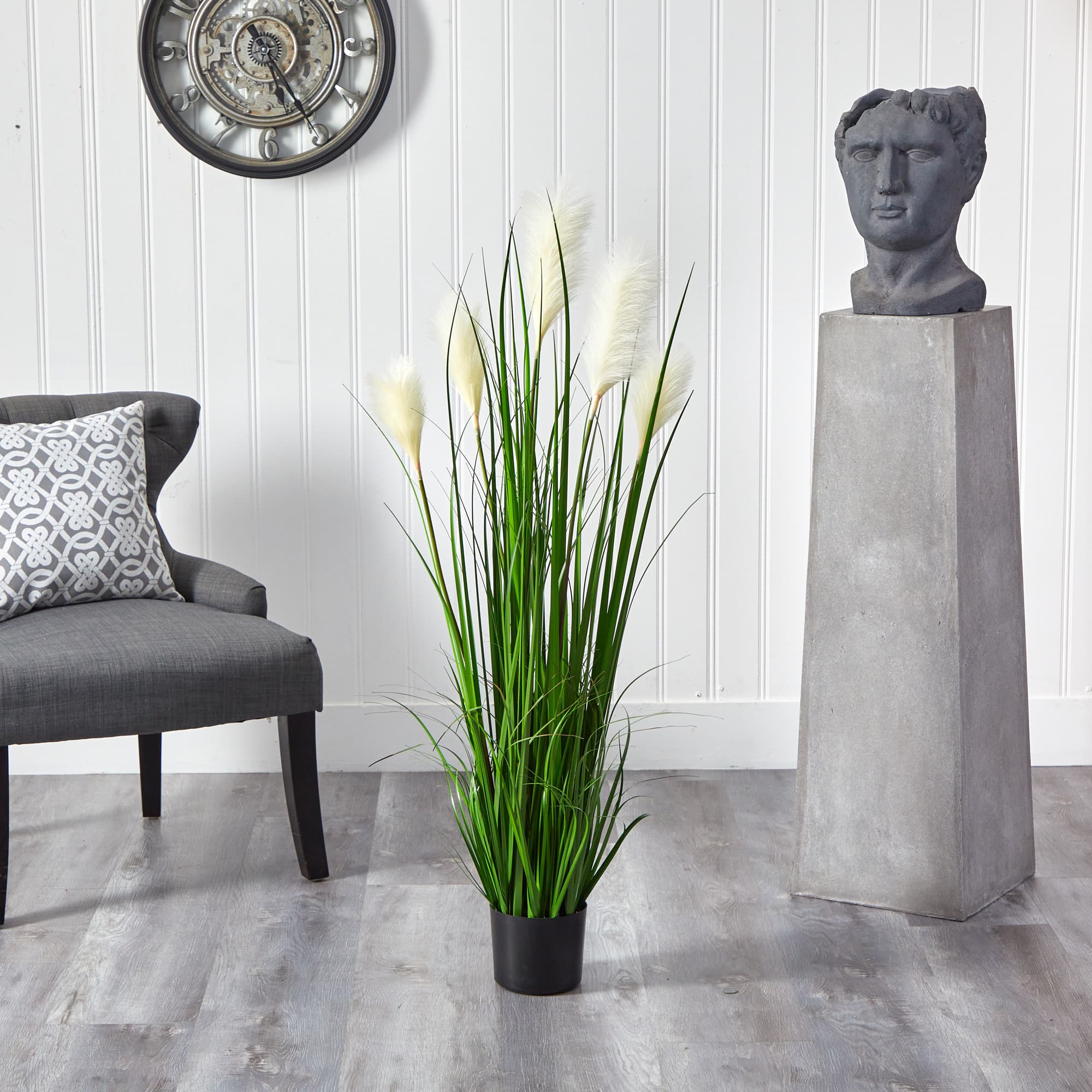 4ft. Potted Plume Grass Plant