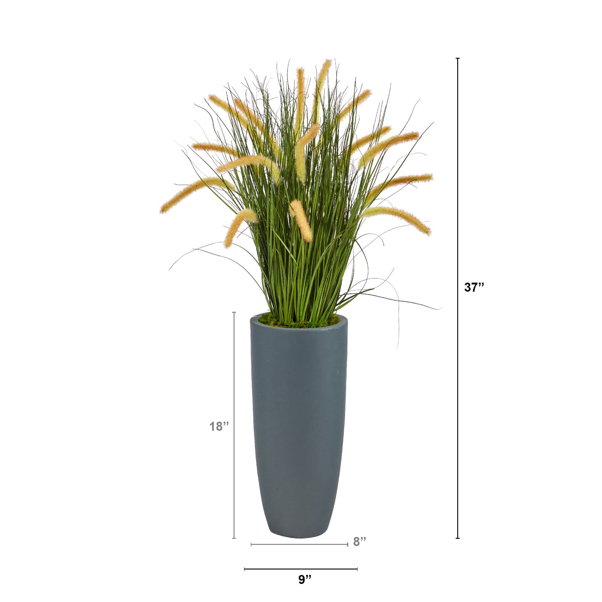 3ft. Onion Grass Plant in Gray Planter