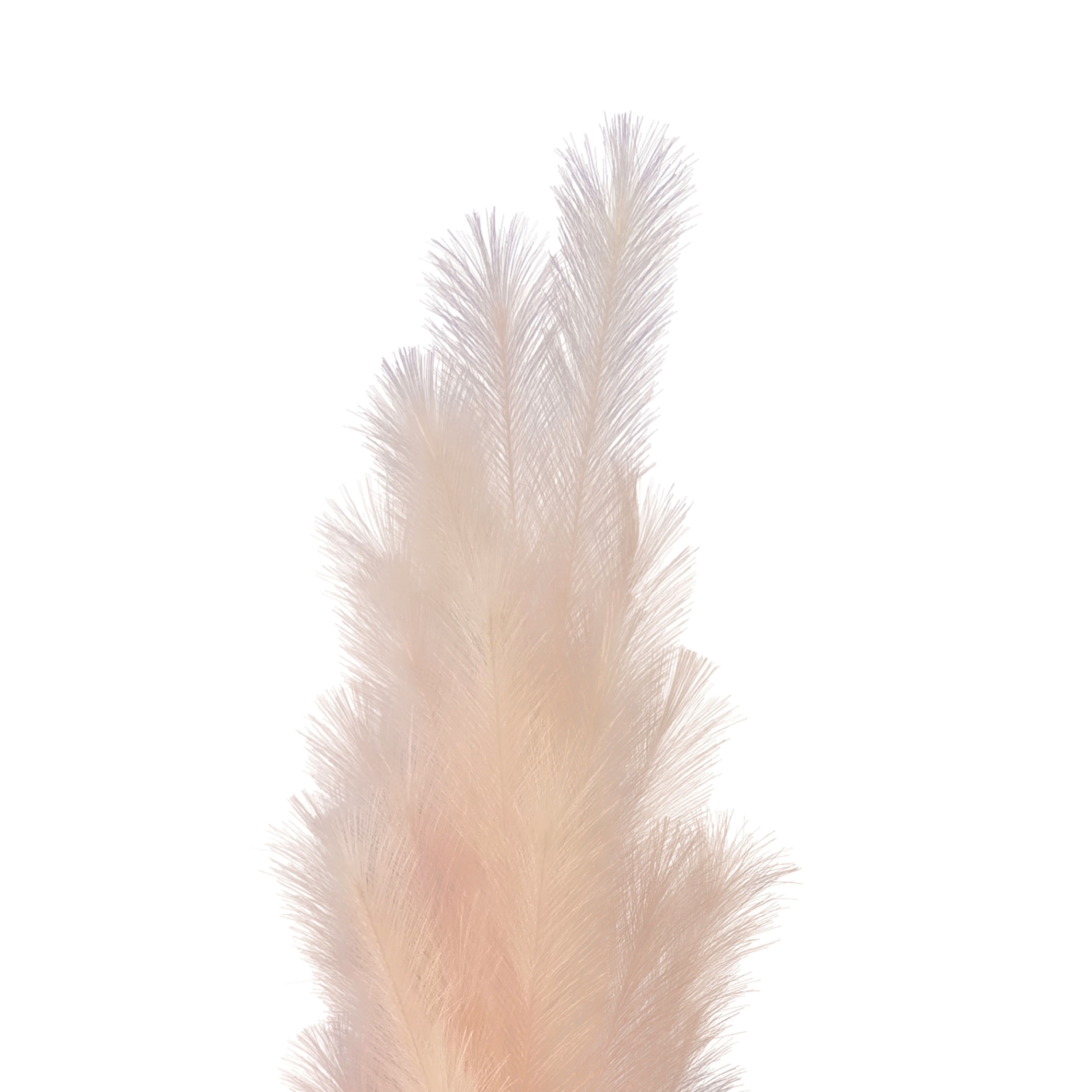 42.5&#x22; Pampas Stem by Ashland&#xAE;