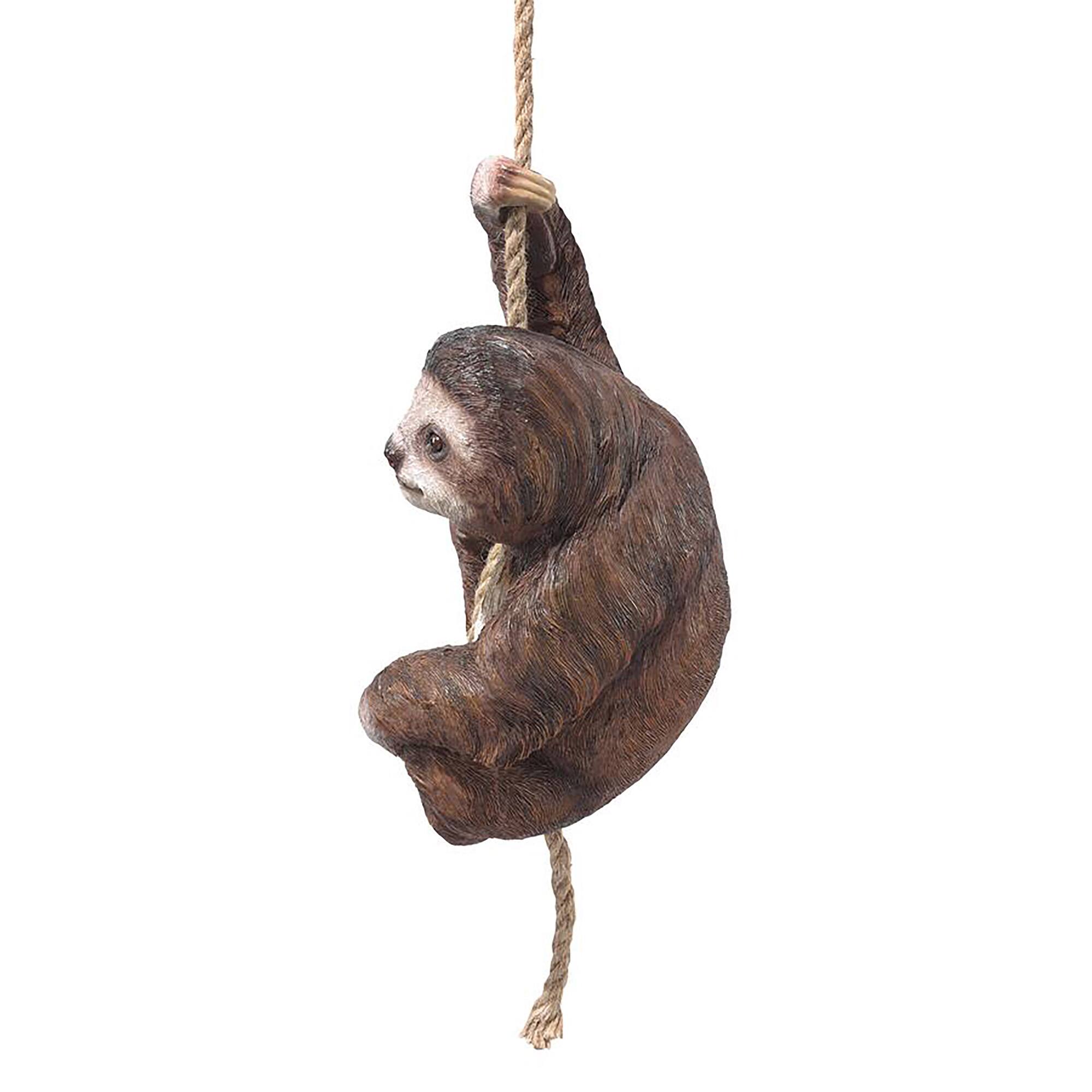 Design Toscano Hanging Horatio the 3-Toed Sloth Statue