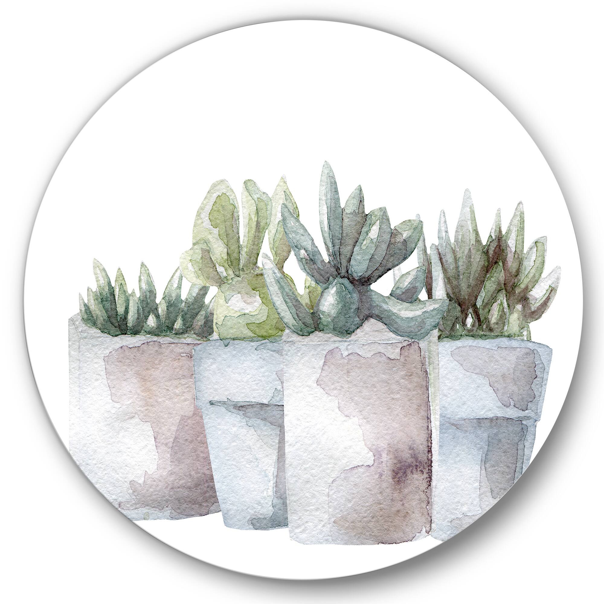 Designart - Cactus and Succulent House Plants III