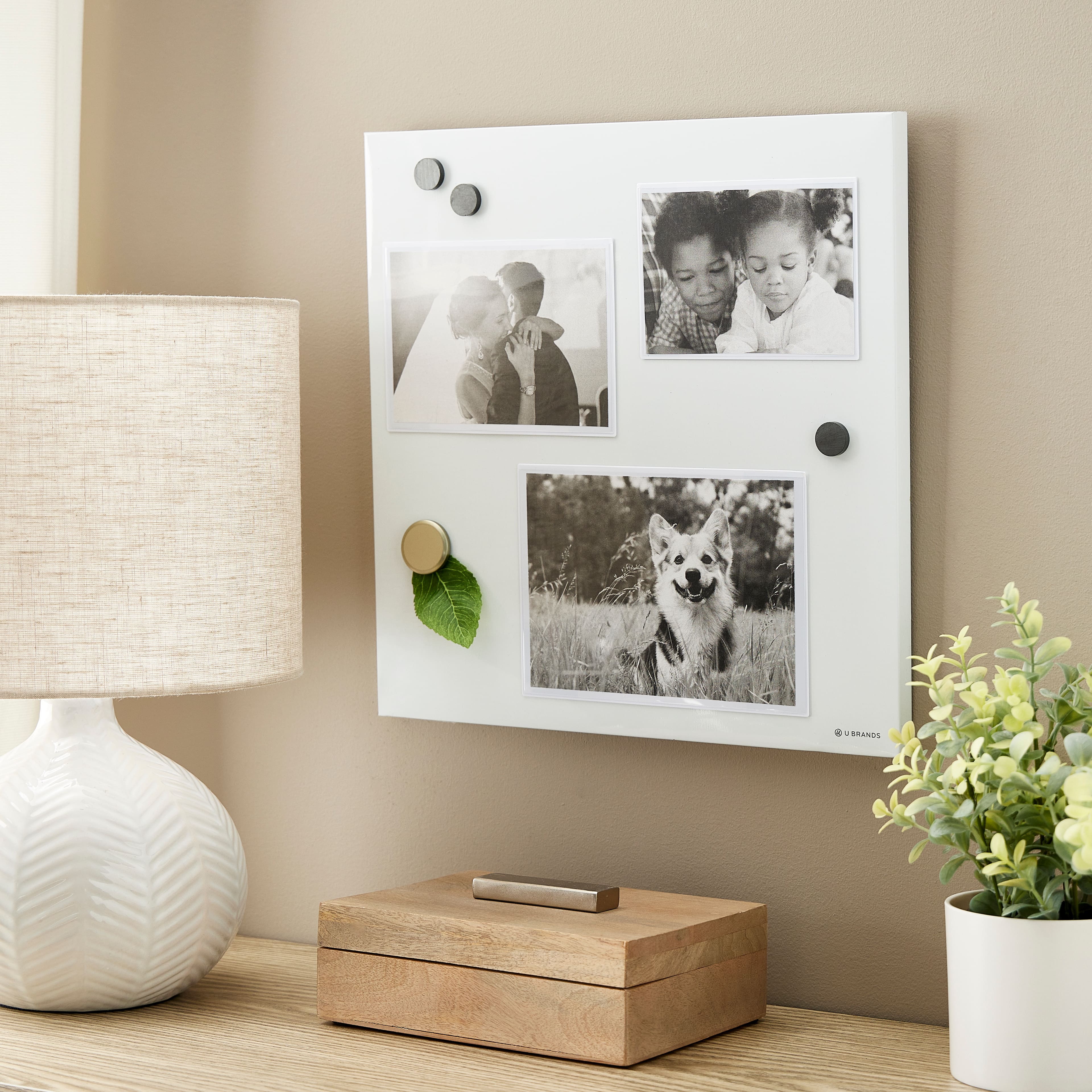 24 Pack: Magnetic Photo Pocket by Studio D&#xE9;cor&#xAE;